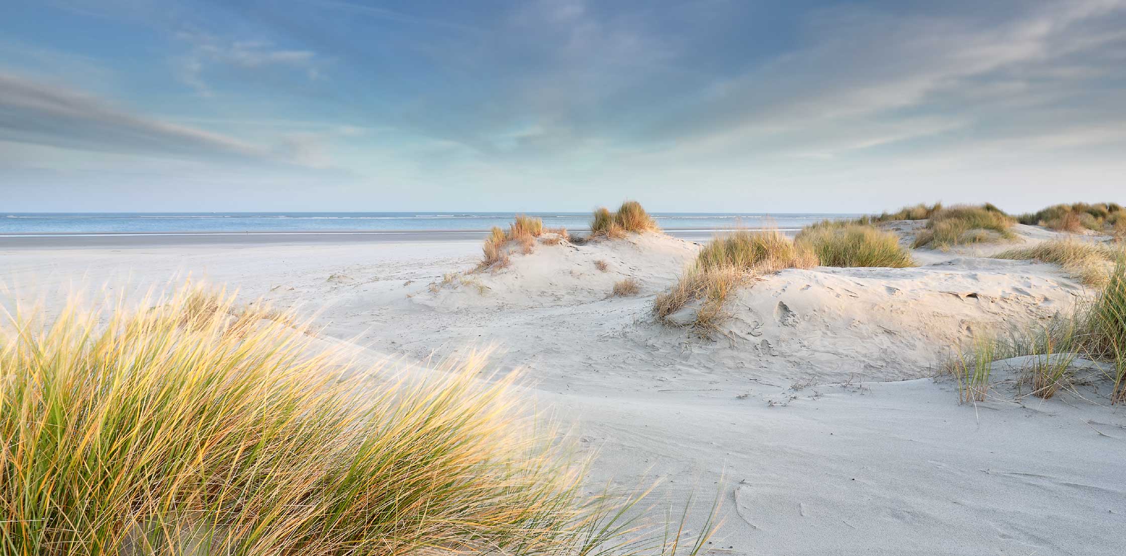 cimbergy-messestand-03.jpg Strand mit Schilf