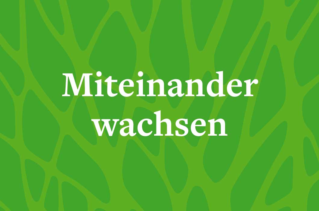 clasen-recruiting-01.jpg Grüner Hintergrund mit weißer Schrift