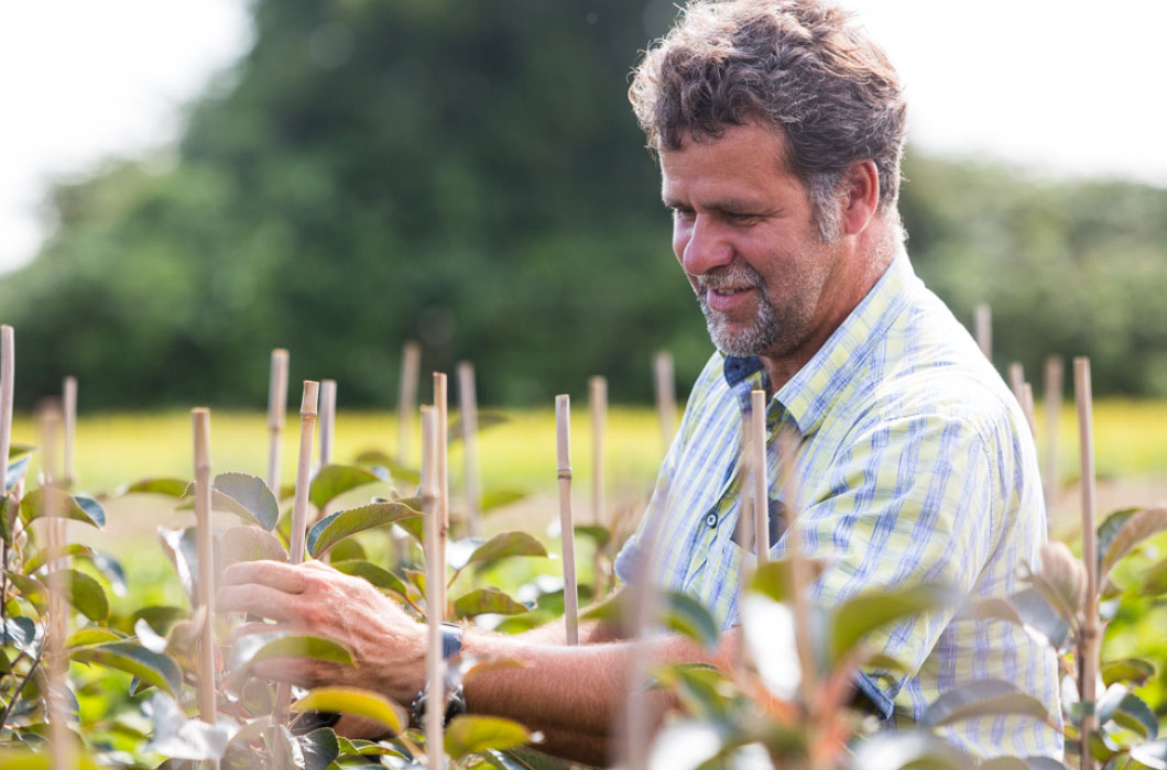 clasen-recruiting-02.jpg Gärtner im grünem Beet