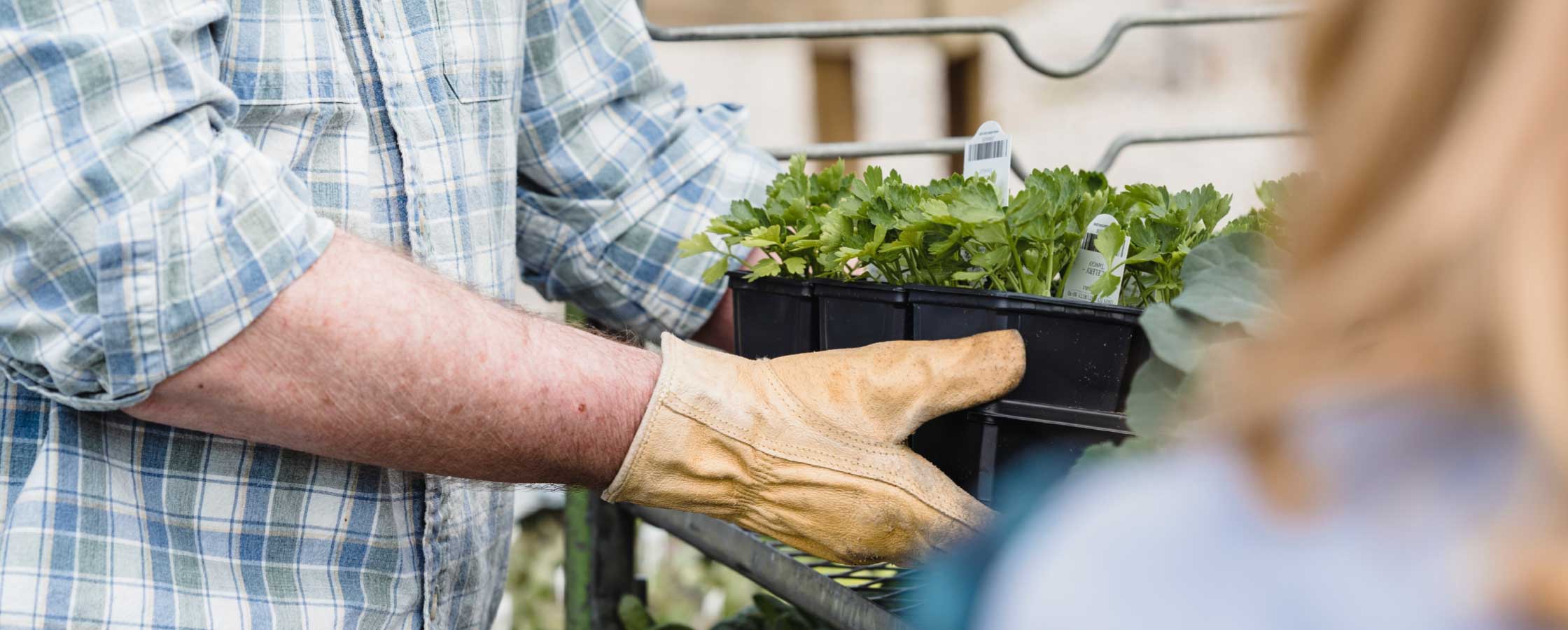 clasen-recruiting-04.jpg Mann trägt Gartenhandschuhe