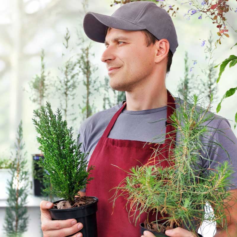 Von der Wurzel an Gärtner mit Pflanzen in der Hand