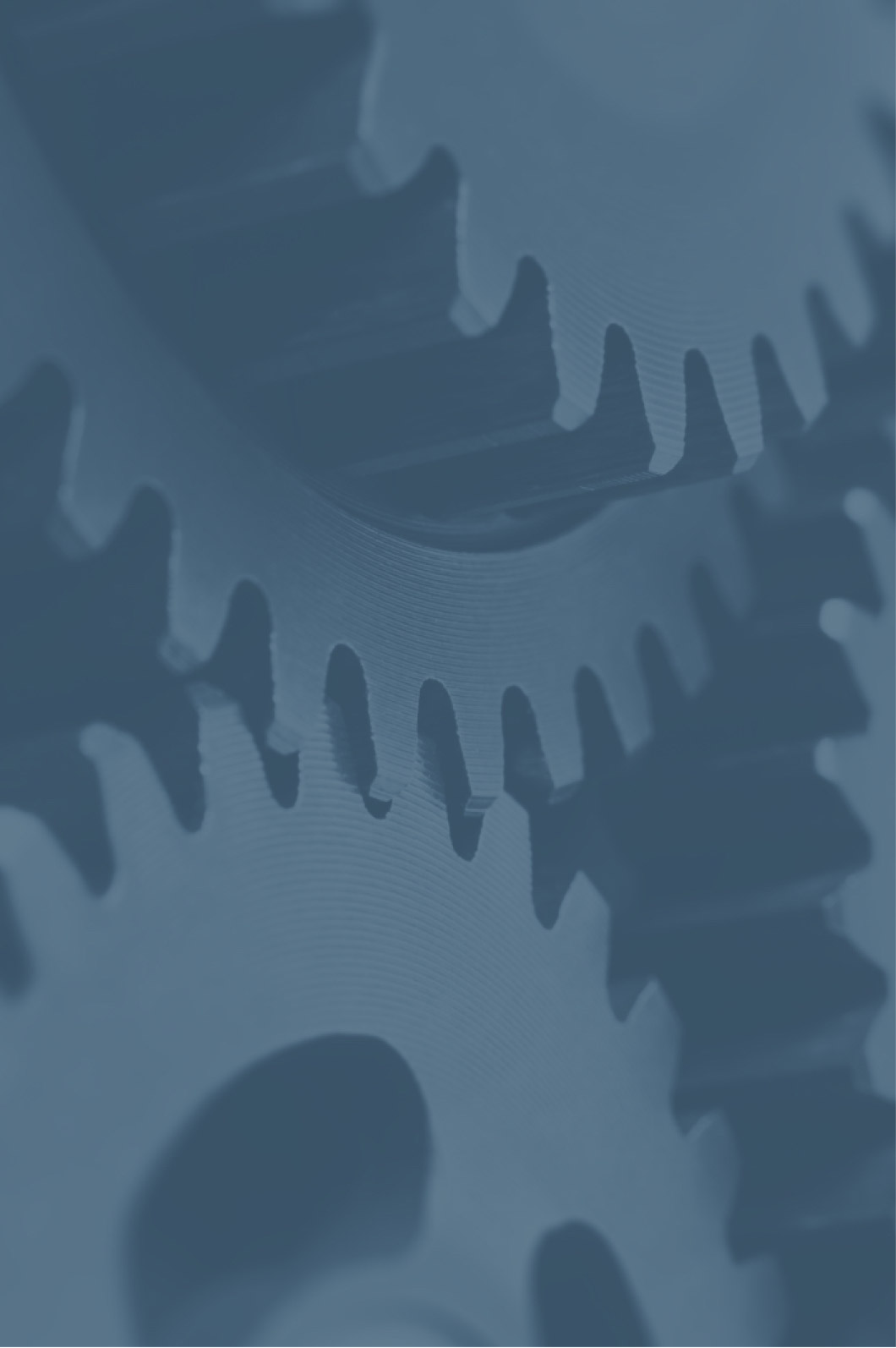 element22-03.jpg Mehrere Zahnräder