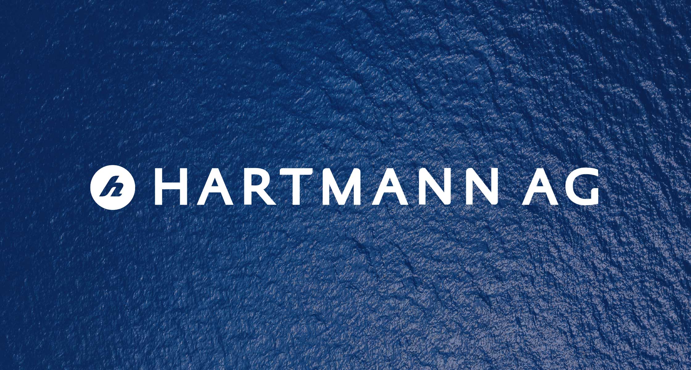 hartmann-08.jpg Logo der Hartmann AG mit blauen Leder Hintergrund