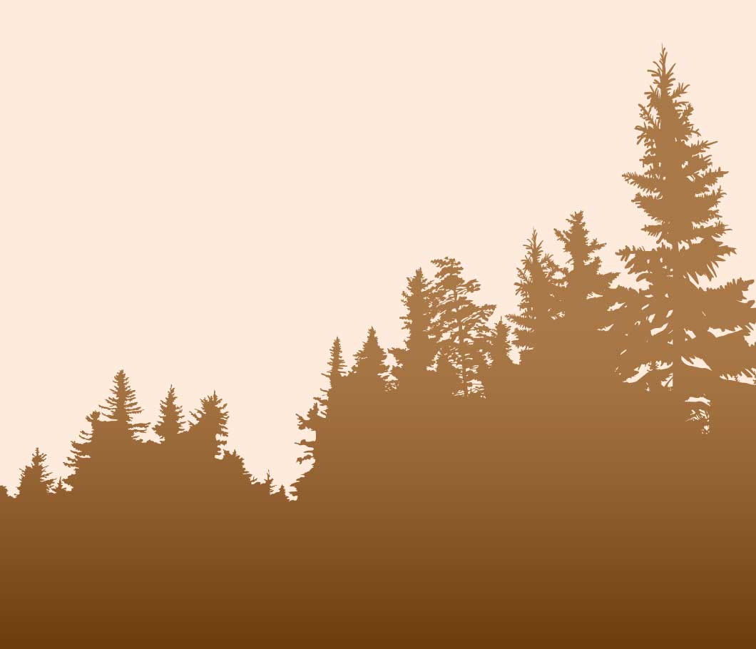 Dunkle Umrisse von einem Wald