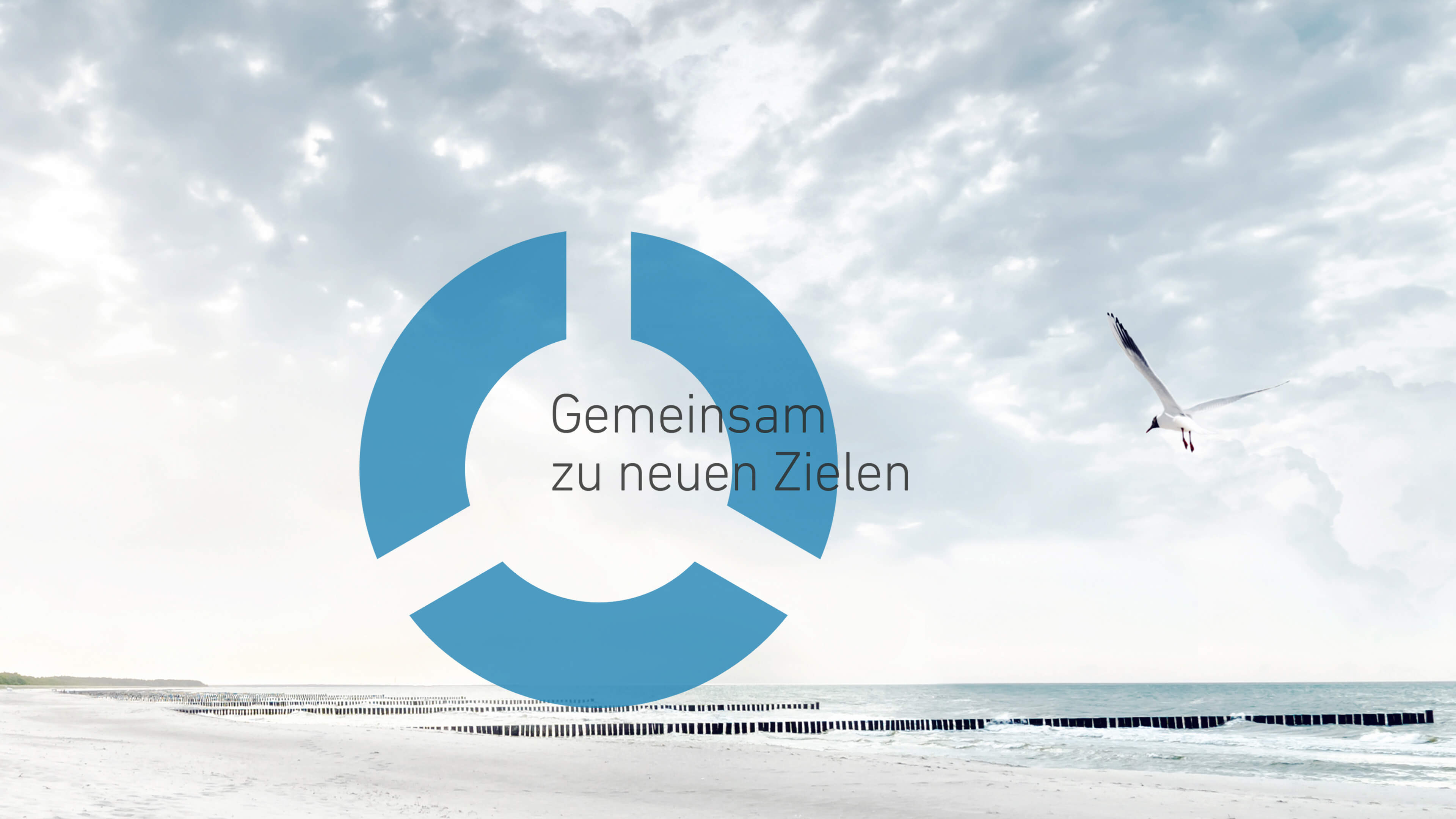 Möwe fliegt über das Meer