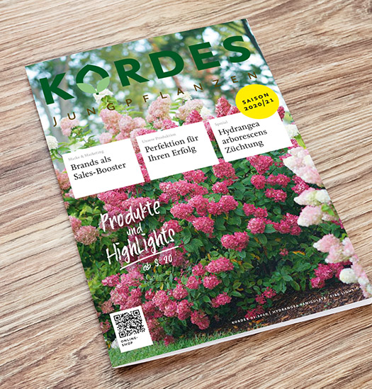 Bunter Kordeskatalog auf Holztisch