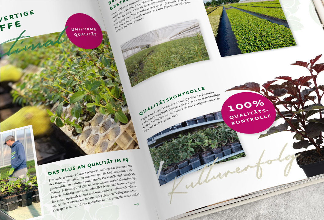 Aufgeschlagener Katalog von Kordes