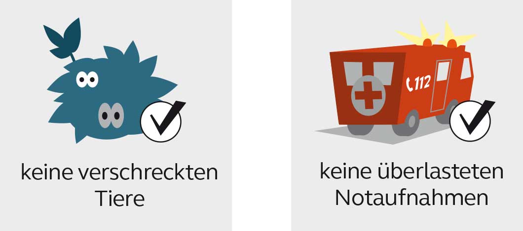 lh-kiel-boellern_06.jpg Rotes Feuerwehrauto mit Haken