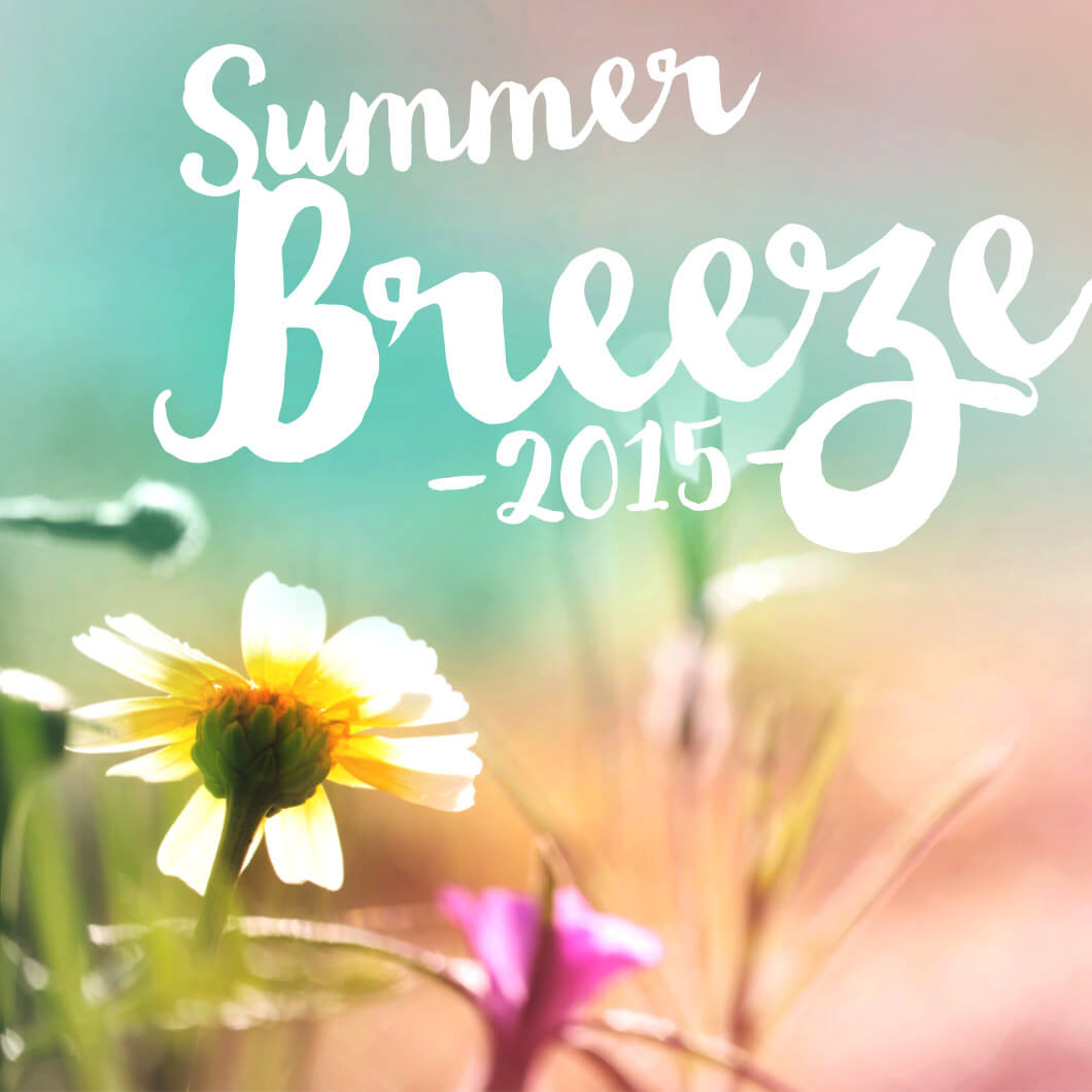 Bunte Blumen auf einer Wiese