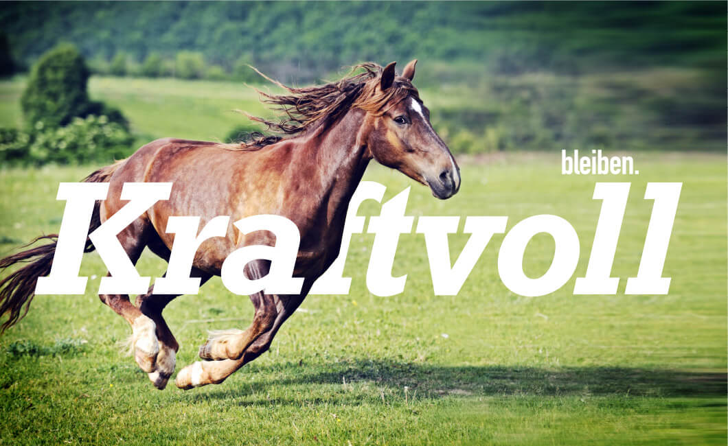 Pferd galopiert über eine Koppel