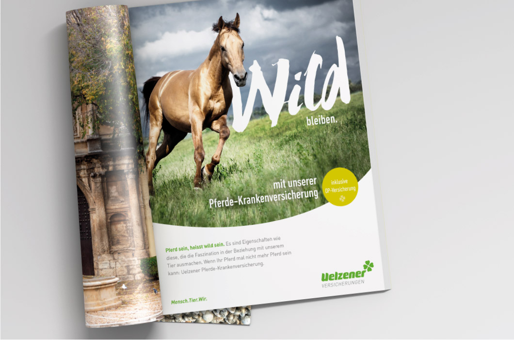 Aufgeschlagene Zeitschrift mit Uelzener Beitrag