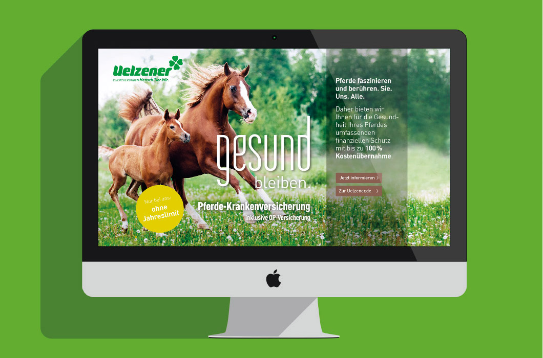 Computerbildschirm mit geöffneter Uelzener Homepage