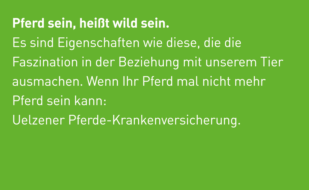Grüner Hintergrund mit weißem Werbetext