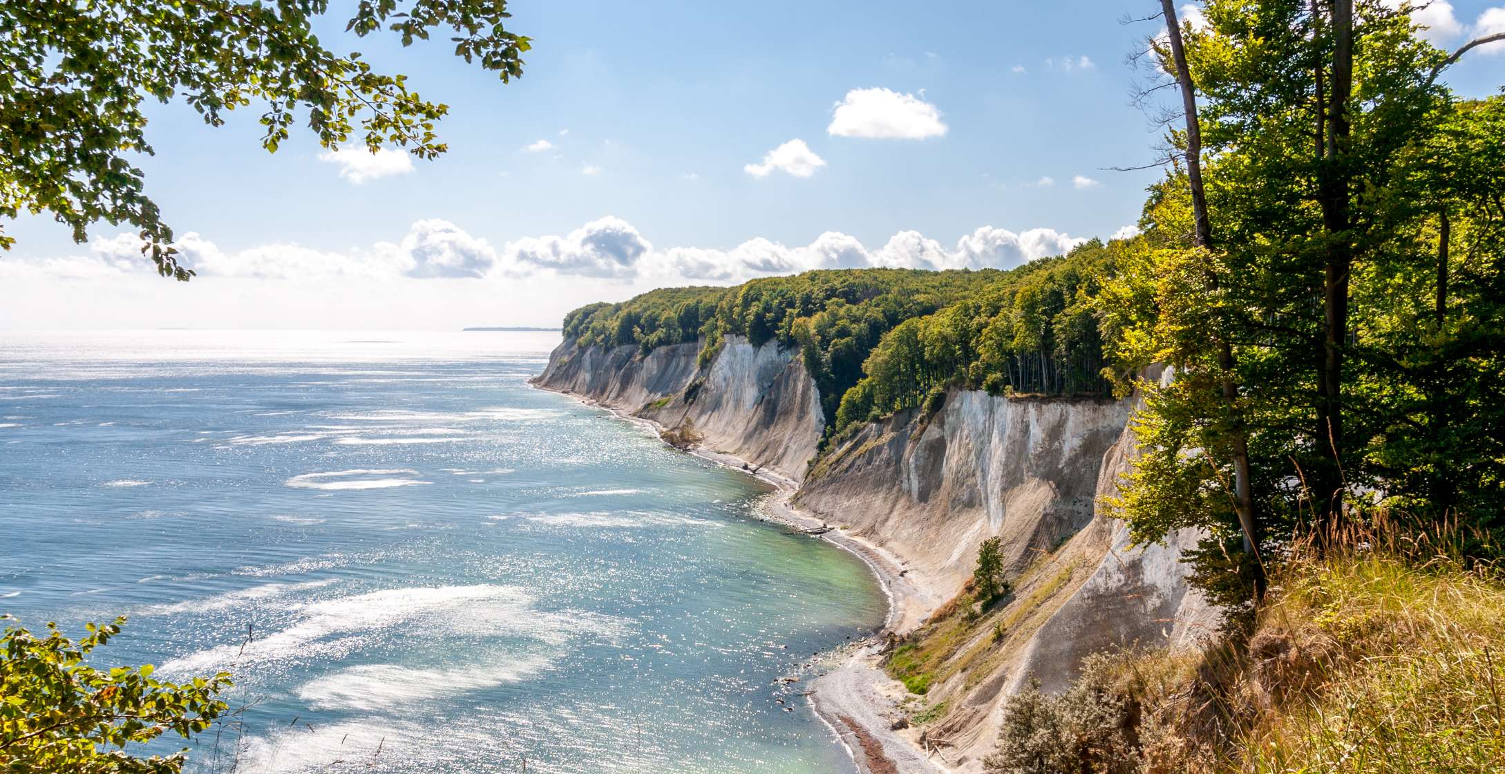 h2_gstolz_teaser_02.jpg Steilküste von Rügen mit blauen Wasser und grüne Wald