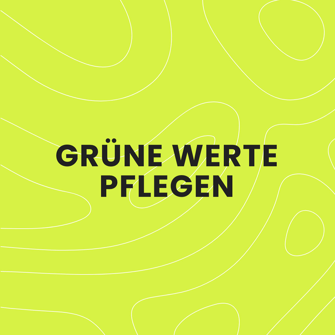 h2_wisi_teaser_04.jpg Grüne Werte pflegen auf hellgrünem Hintergrund