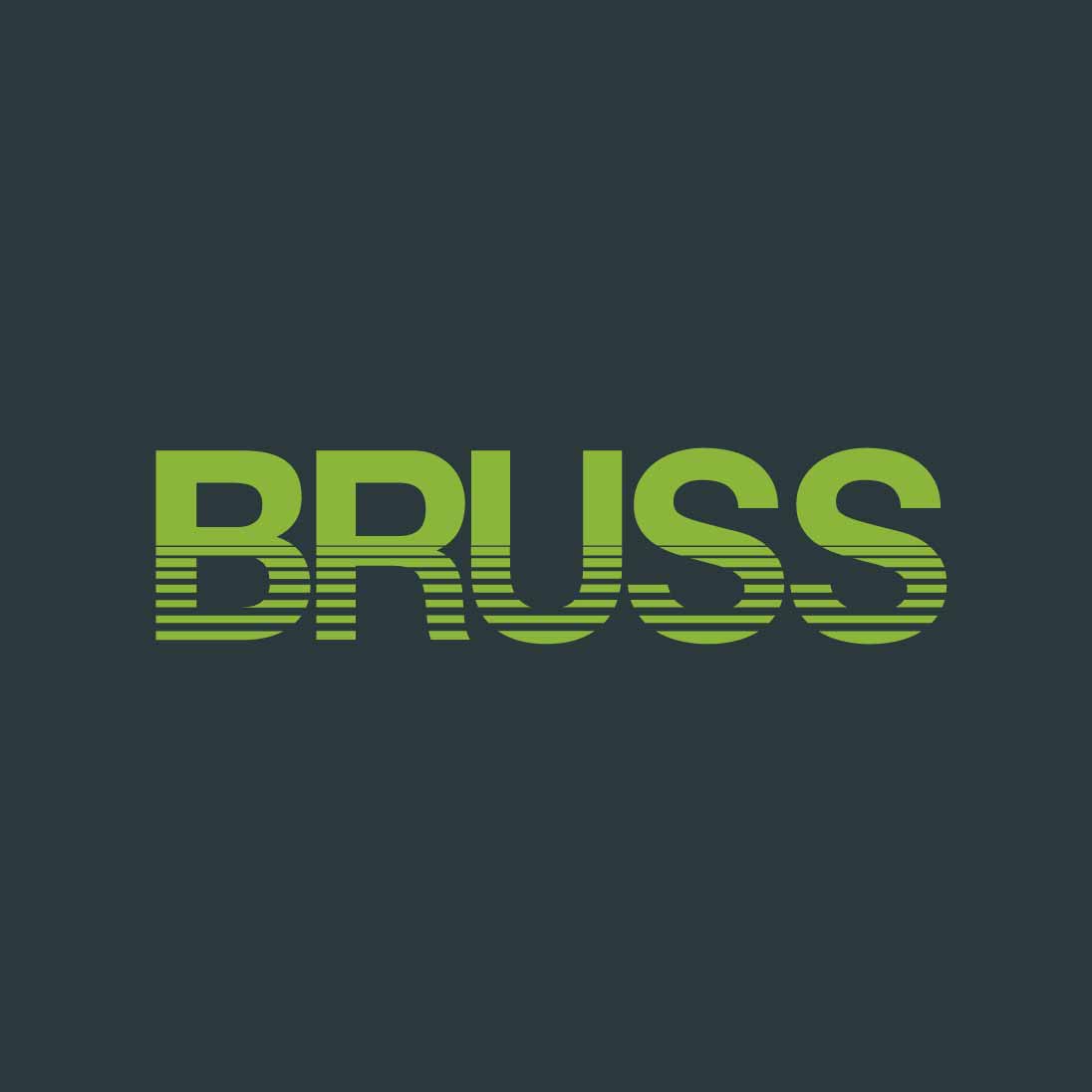 h2_bruss_teaser_01.jpg Bruss Logo grün auf Schwarz