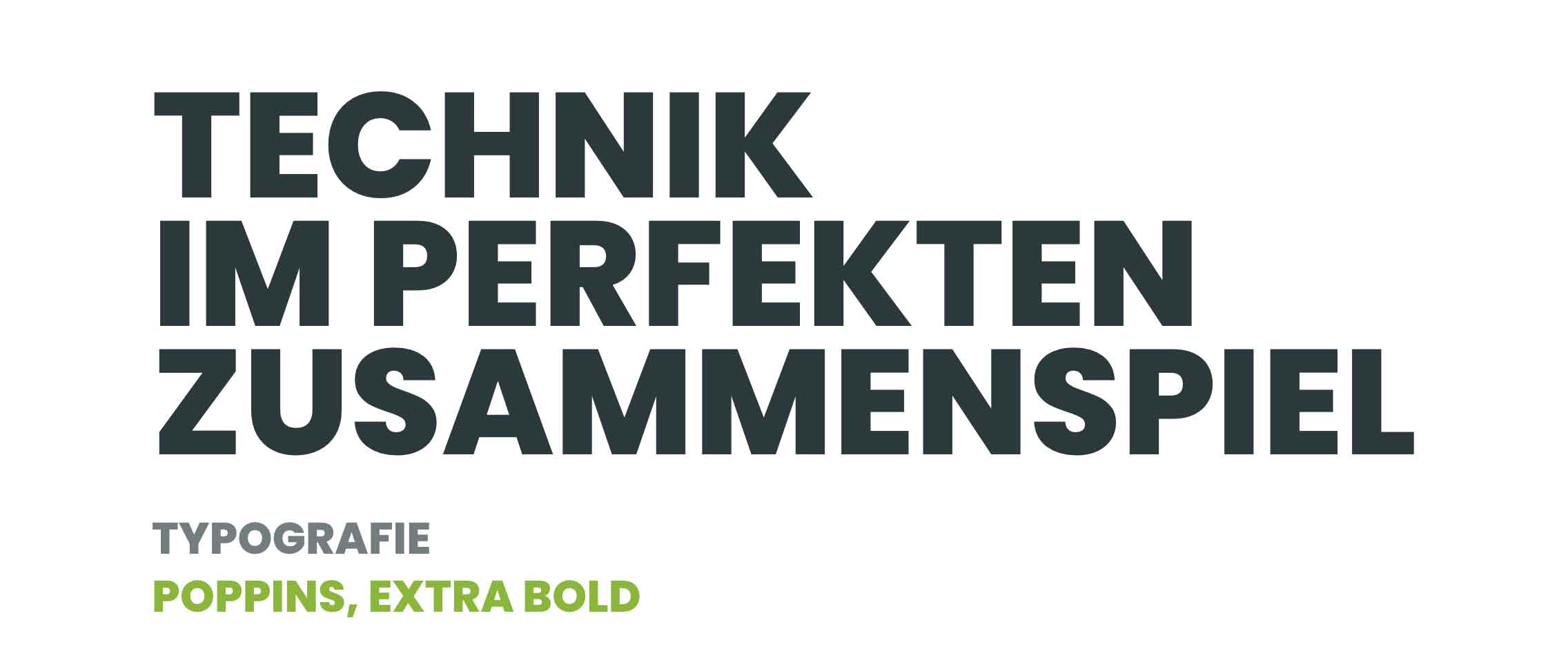 h2_bruss_teaser_05.jpg Technik im perfekten Zusammenspiel, Typografie Poppins extra bold