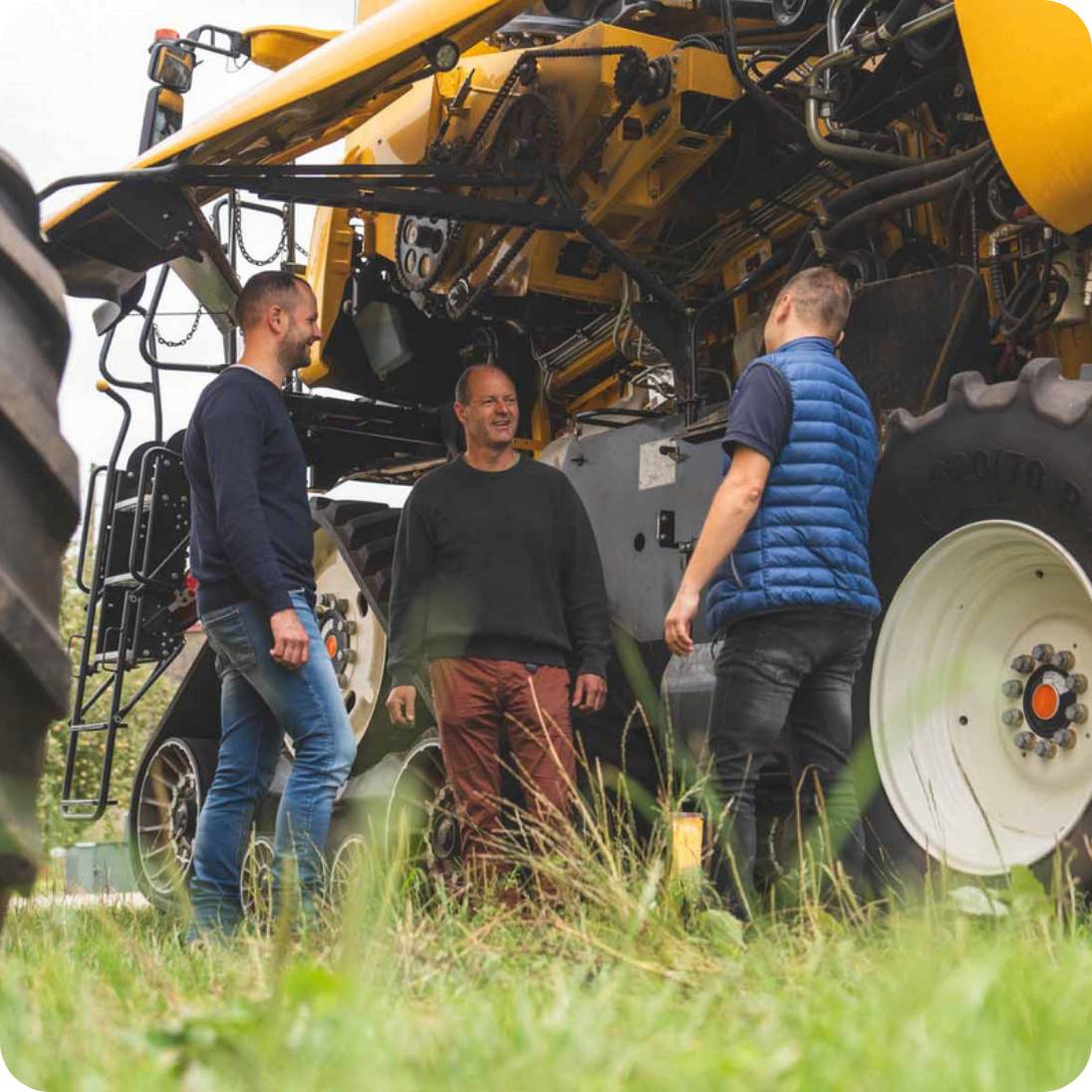 hochzwei_relaunch-wuestenberg_teaser_09.jpg Drei Männer besprechen etwas neben einem großen gelben Mähdrescher