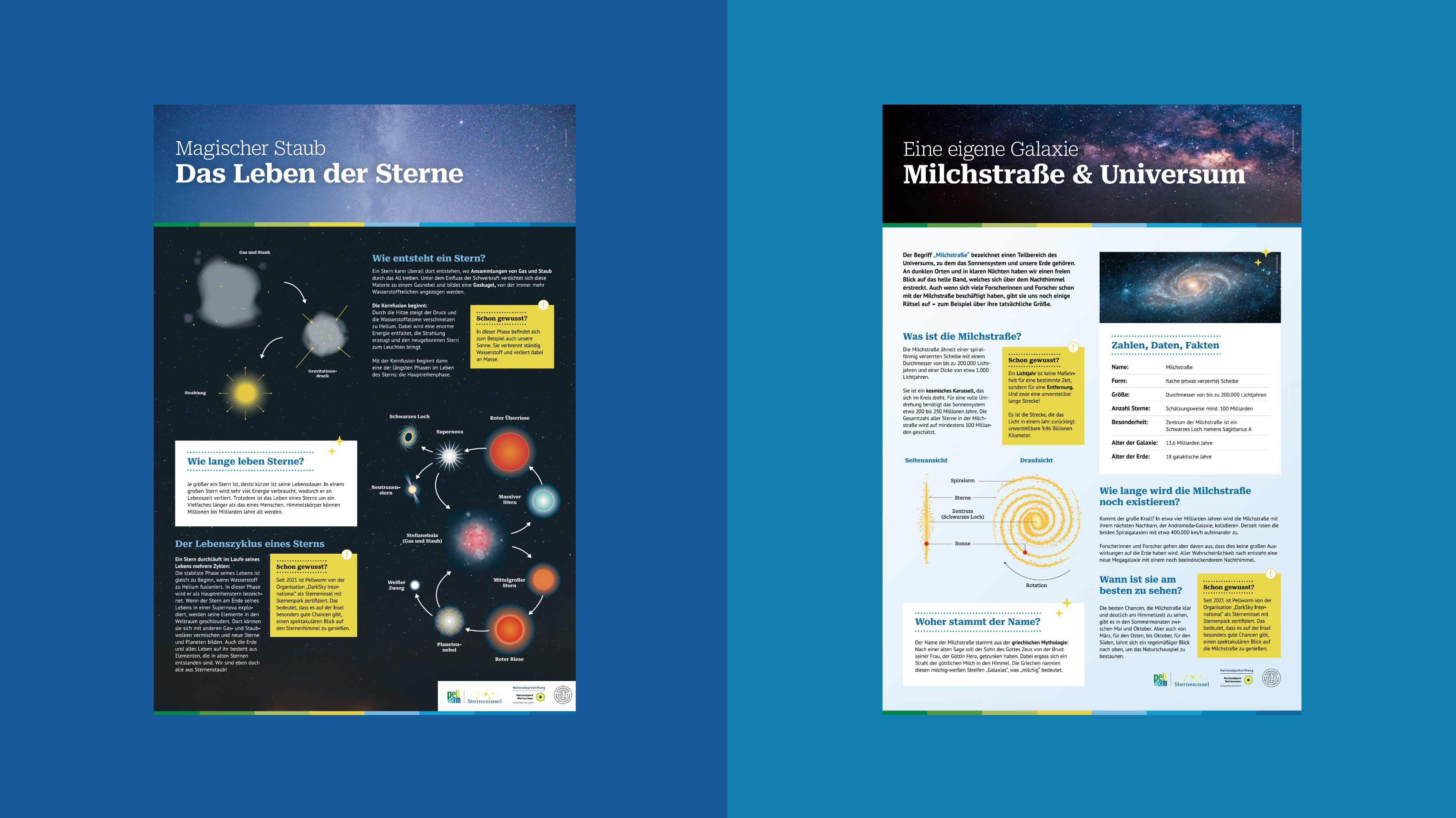 Zweigeteilte Grafik mit verschiedenen Flyer Seiten.