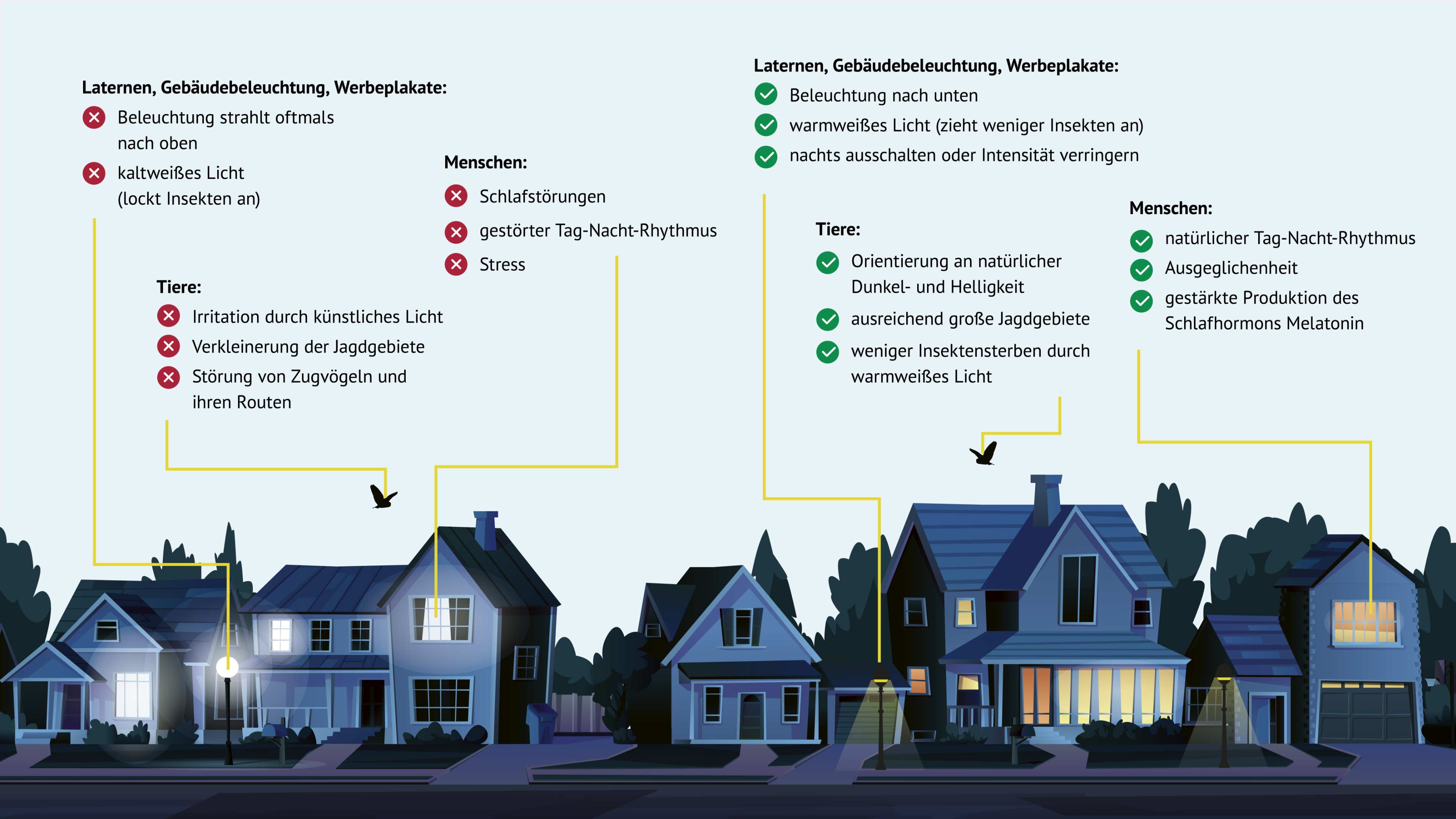 Große Infografik darüber, wie sich künstliches Licht auf Menschen und Tiere auswirkt.