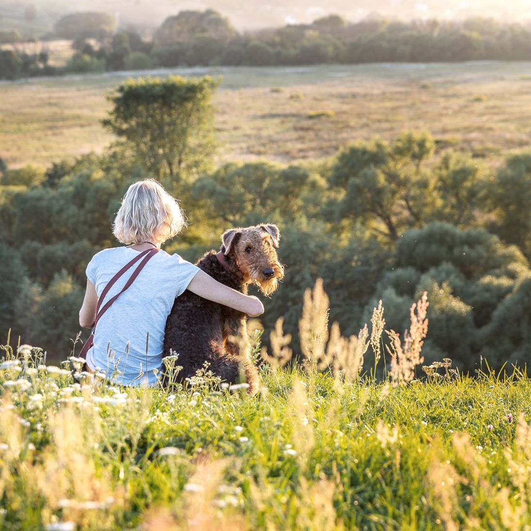 Eine Frau mit einem Terrier auf einem Hügel in einer Wiesenlandschaft