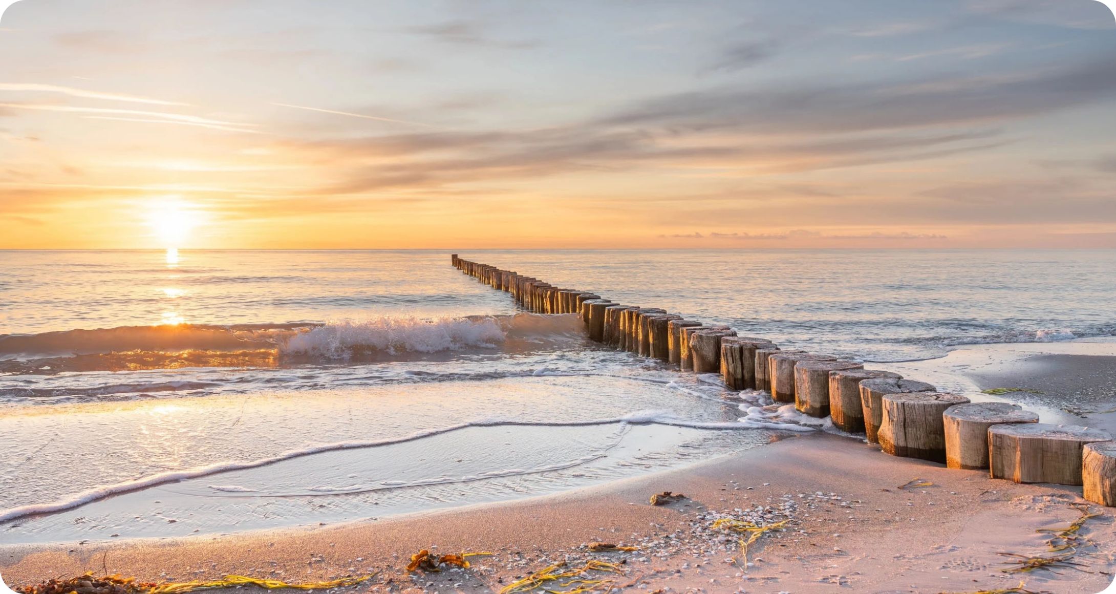Foto einer Buhne in der Abendsonne