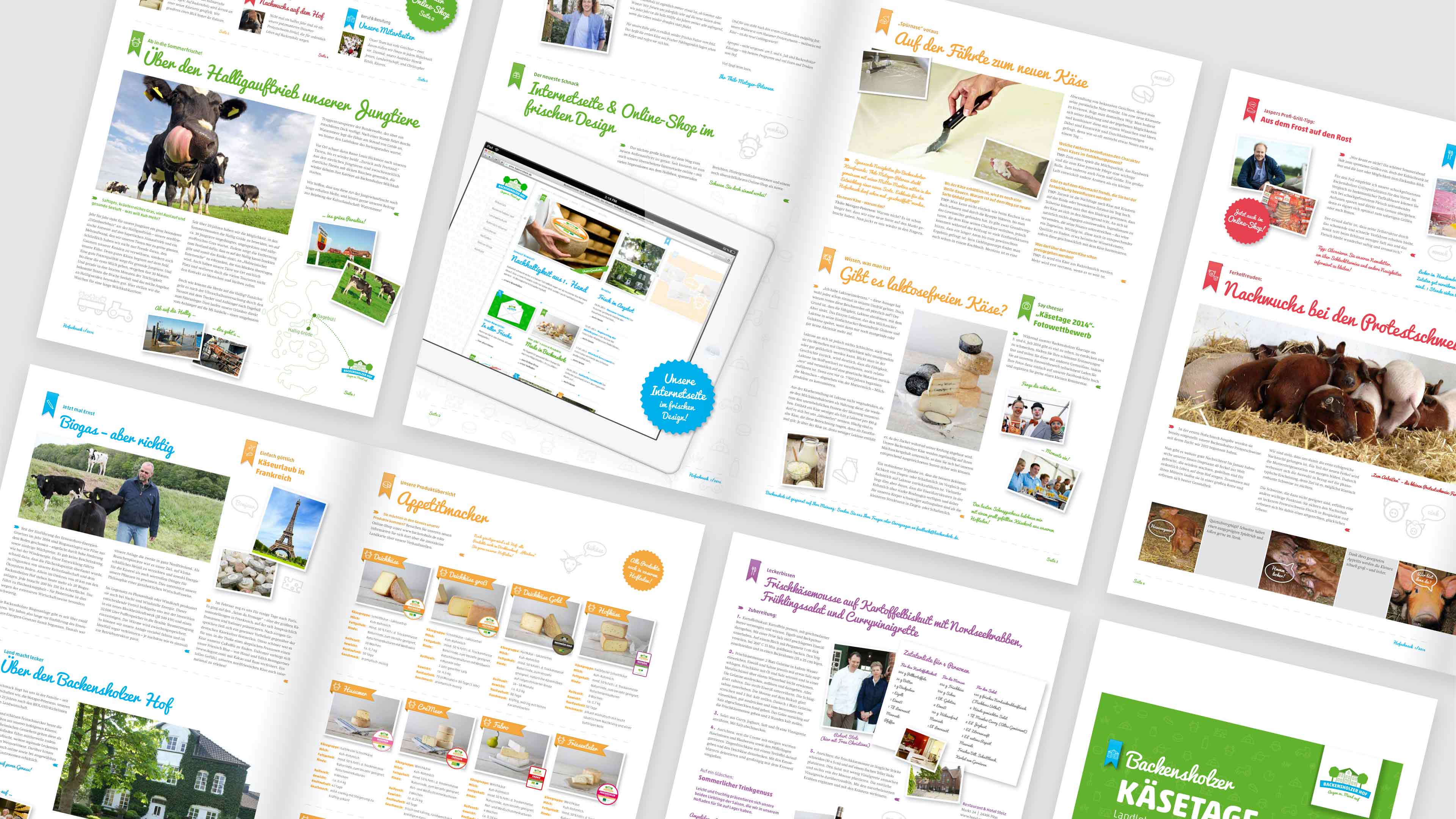 hochzwei_roba_slider_01.jpg Collage mehrerer Seiten des Magazin Hofschnacks mit grüner und gelber Schrift im Zeitungscharakter