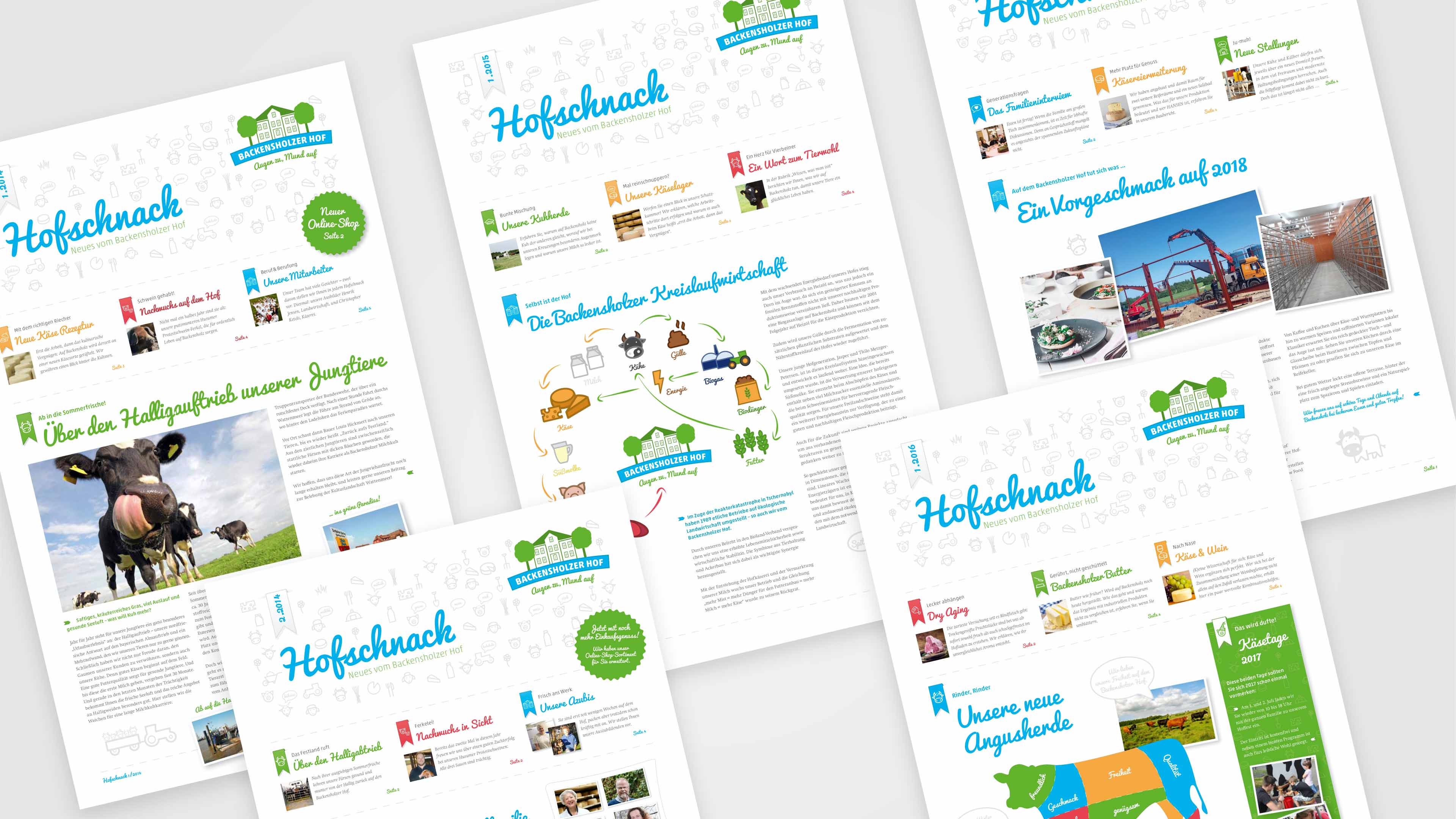 hochzwei_roba_slider_03.jpg Collage mehrerer Seiten des Magazin Hofschnacks