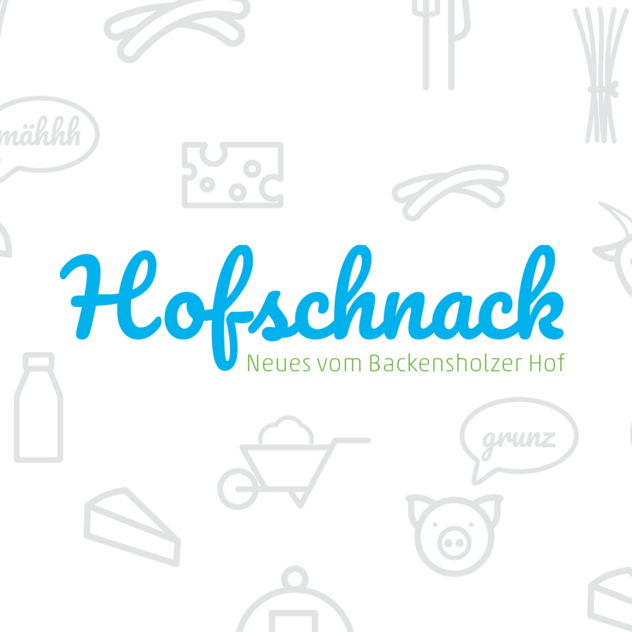 hochzwei_roba_teaser_01_hauptteaser.jpg Blauer Schriftzug Hofschnack und graue Icons