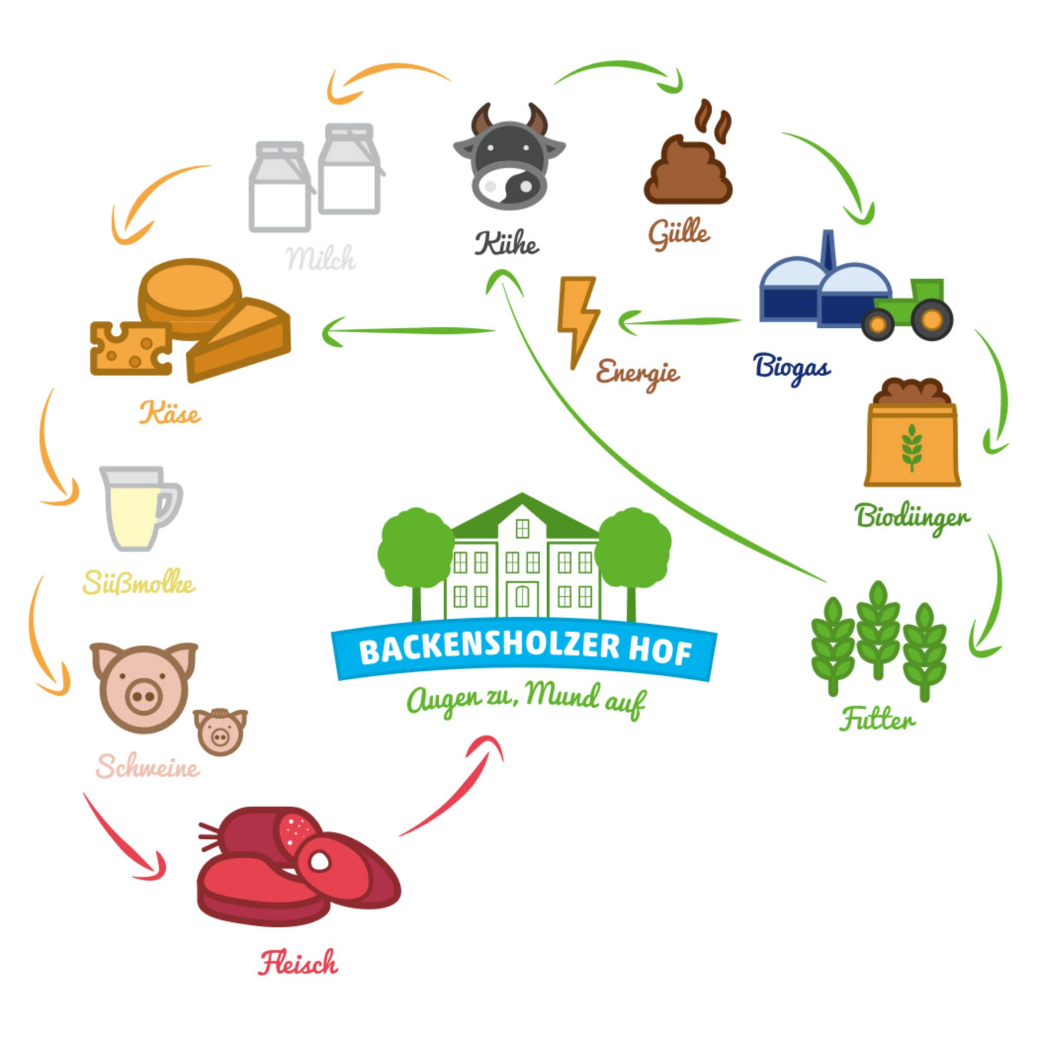 hochzwei_roba_teaser_02.jpg Logo des Backensholzer Hofs, mit Icons und Pfeilen des Hofkreislaufs: Aus der Kuhmilch wird Käse, die Süßmolke wird an Schweine verfüttert, daraus entsteht Fleisch. Aus Gülle wird Bioenergie für die Käseproduktion und Biodünger für das Futter der Kühe