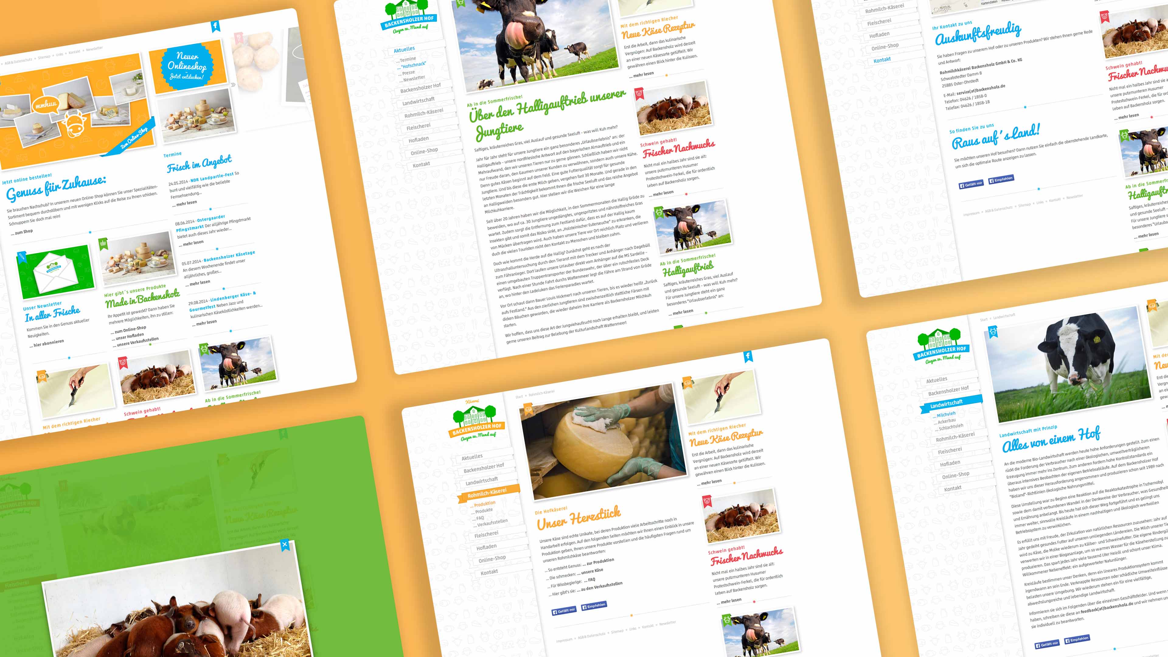 Collage mehrerer Screenshots der Website backensholz.de