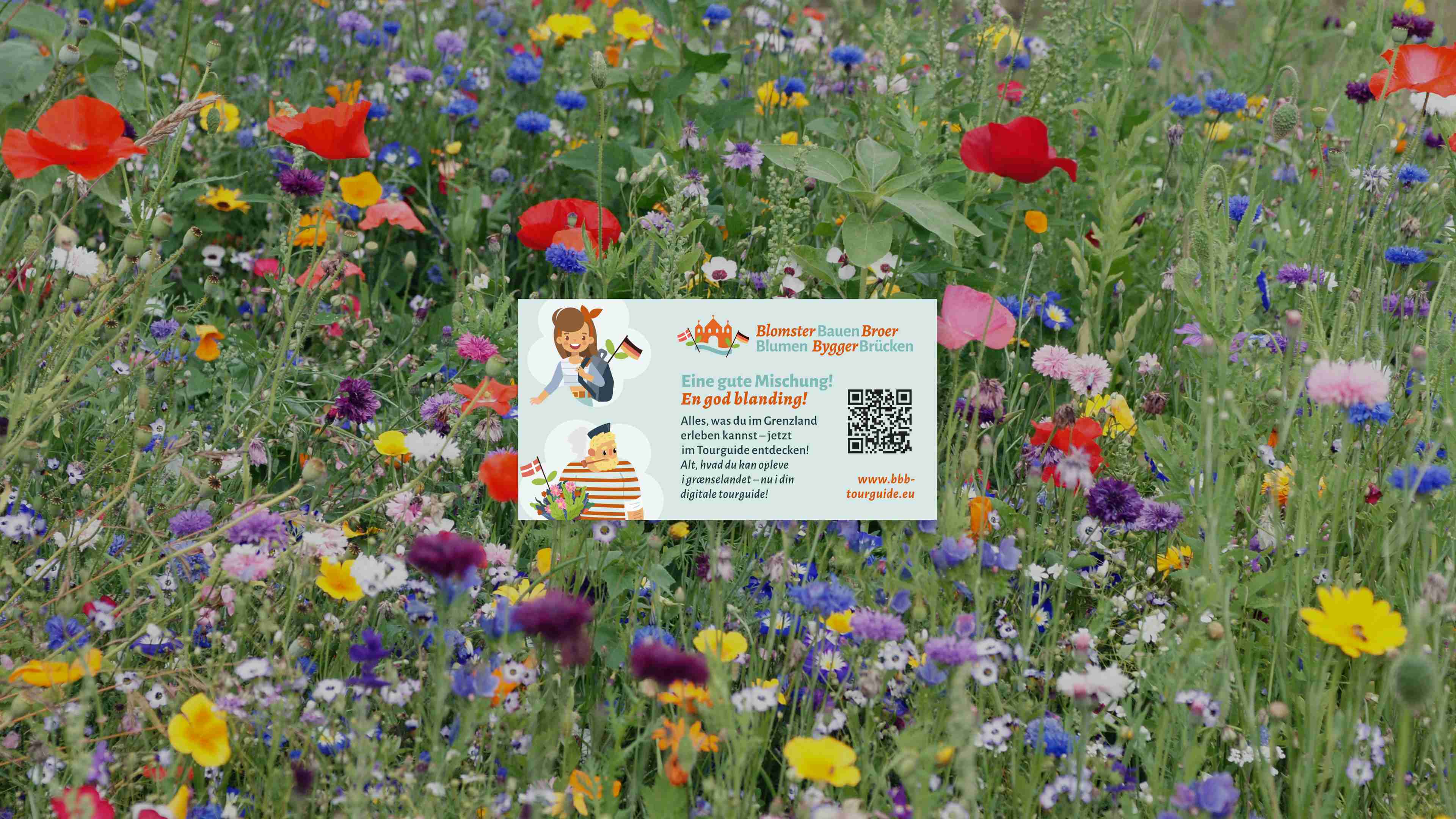 hochzwei_FLFJ_slider_03.jpg Eine Blumenwiese mit vielen bunten Blumen