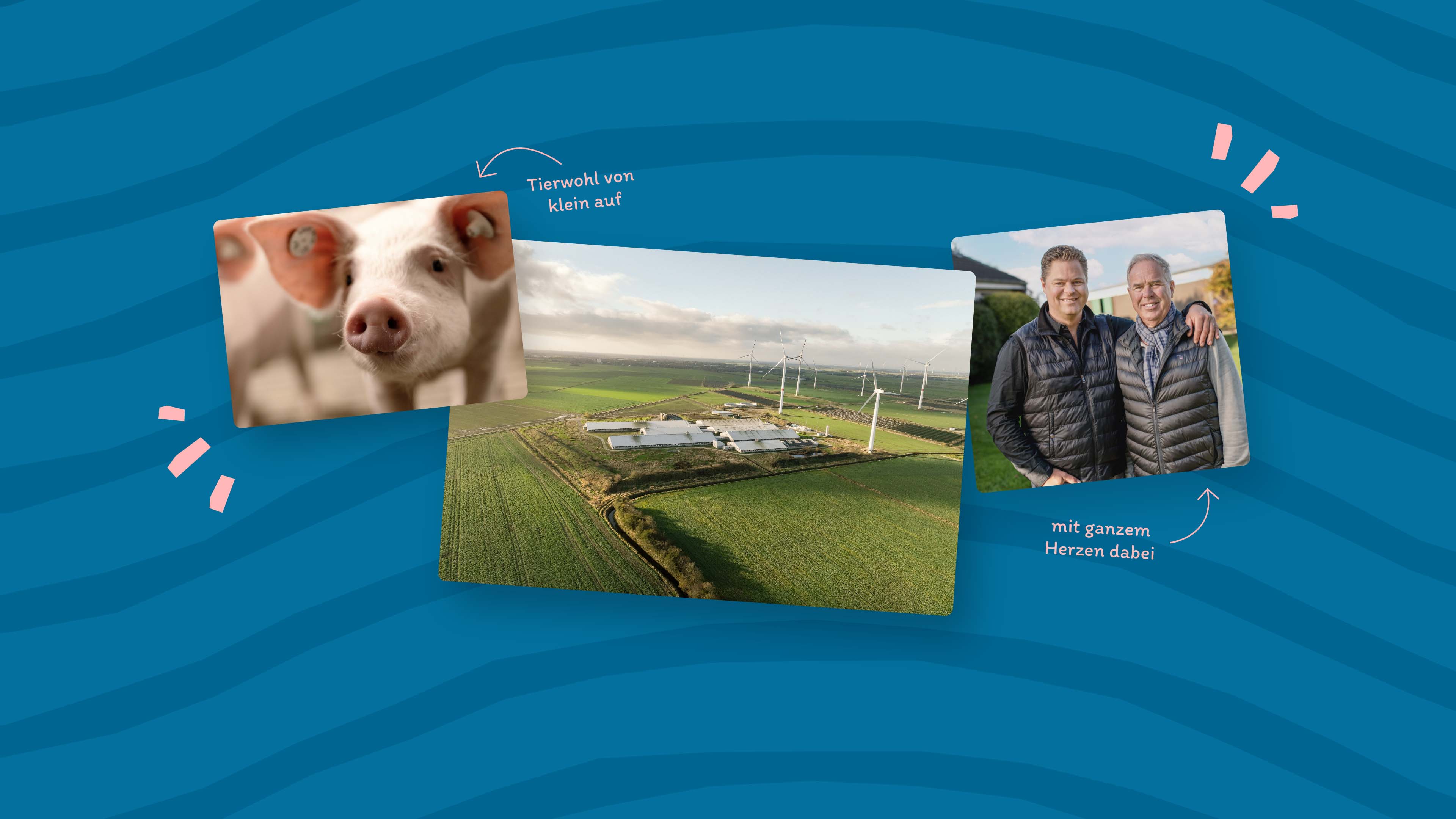 Bildercollage von Lars Brunk