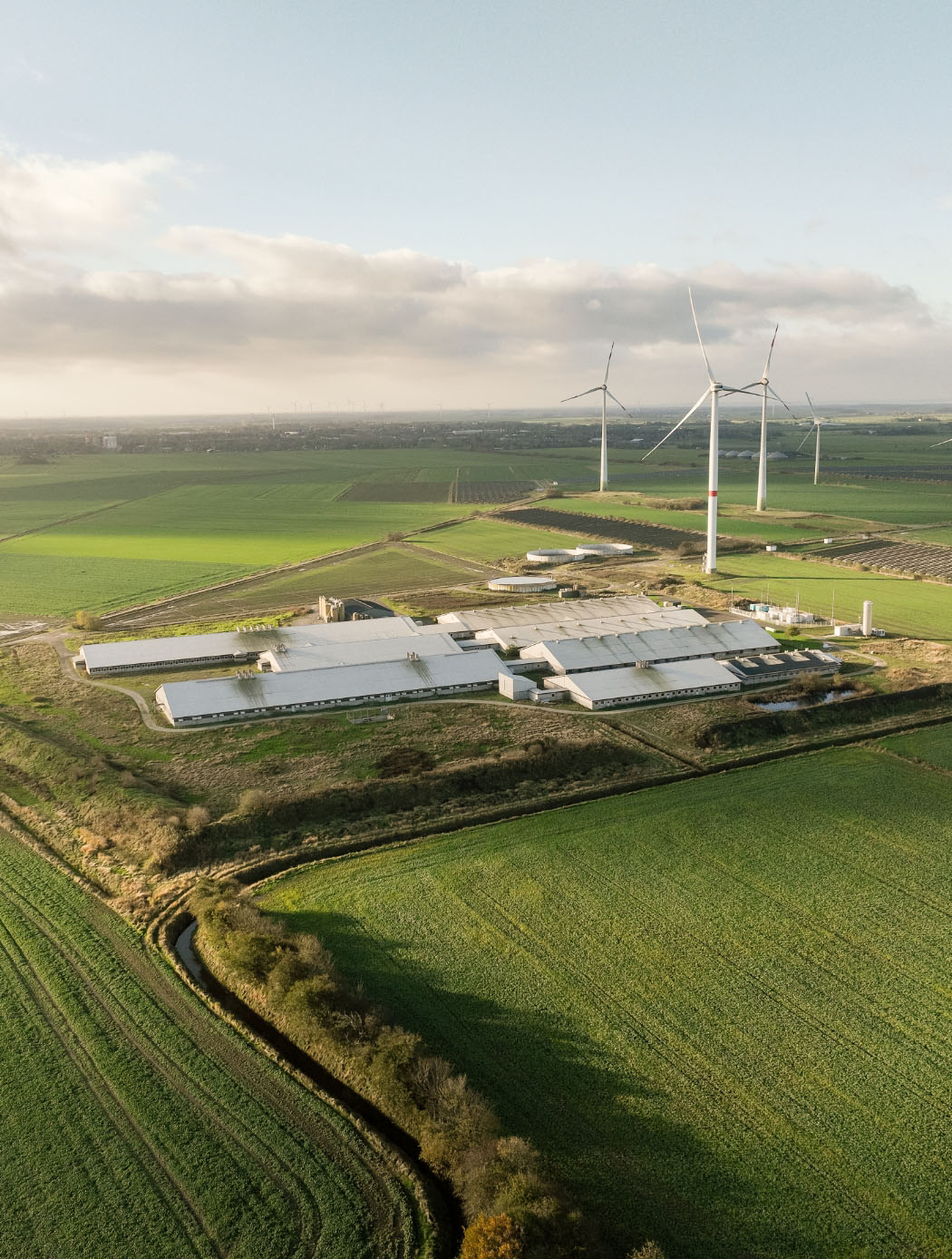 hochzwei_Brunk_teaser_15.jpg Luftbild von dem Küstenswien Hof