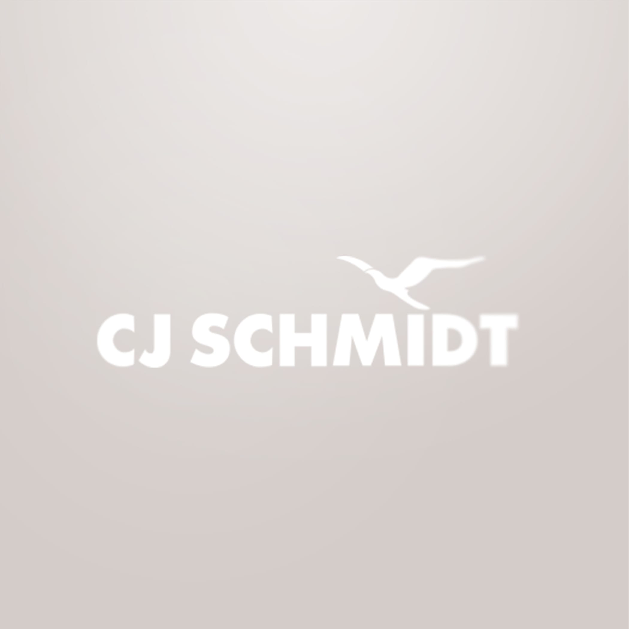 hochzwei_cjsc_teaser_03.jpg Weißes CJ Schmidt Logo auf grau