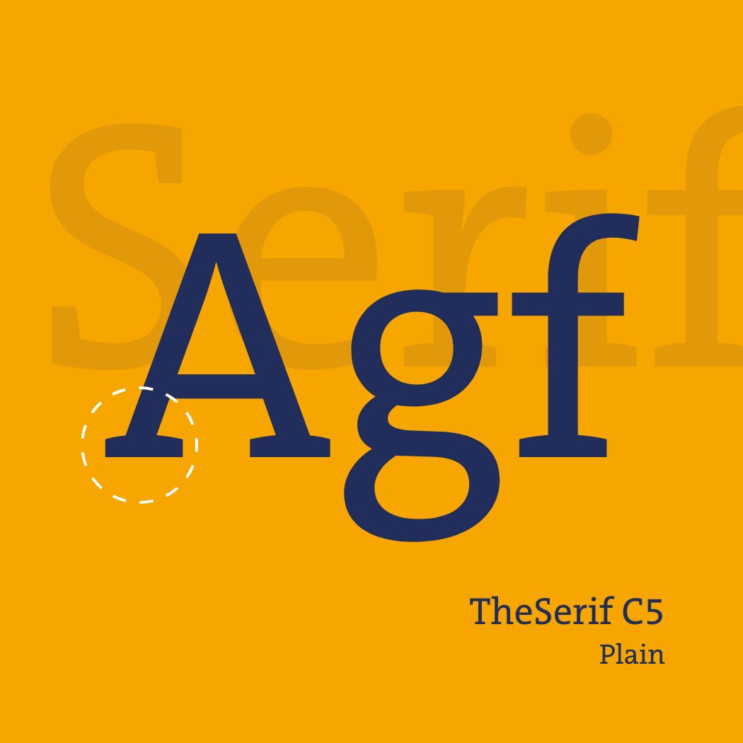 h2_diako_teaser_03.jpg Typographie TheSerif C5