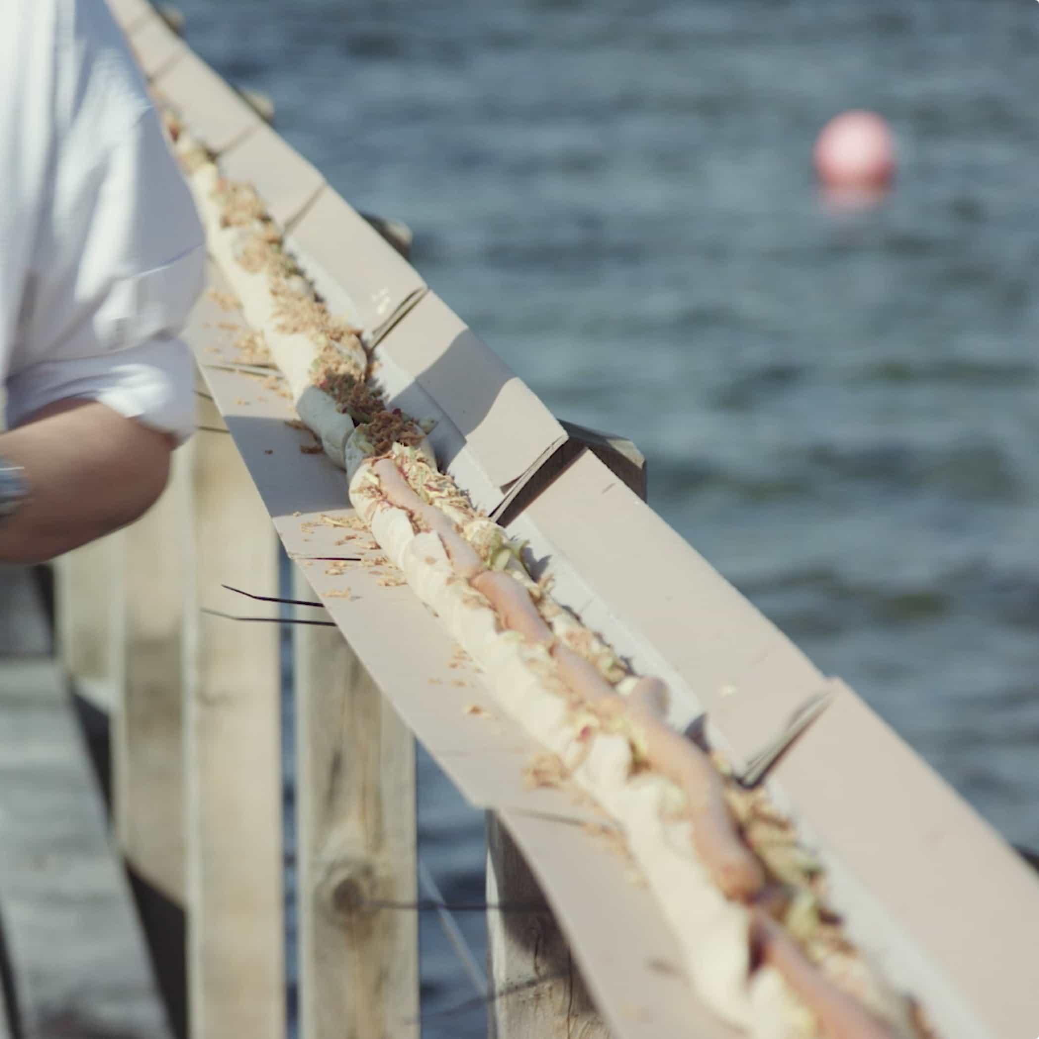 hochzwei_sfdw_teaser_02.jpg Auf dem Handlauf der Seebrücke montierte Schiene mit dem längsten Hotdog der Welt