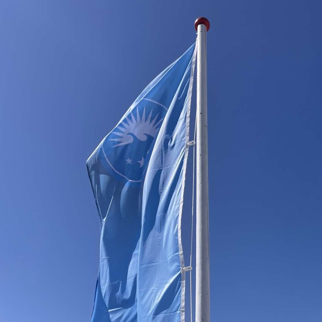 h2_dyvigbro_teaser_02.jpg Blick auf eine blaue Flagge