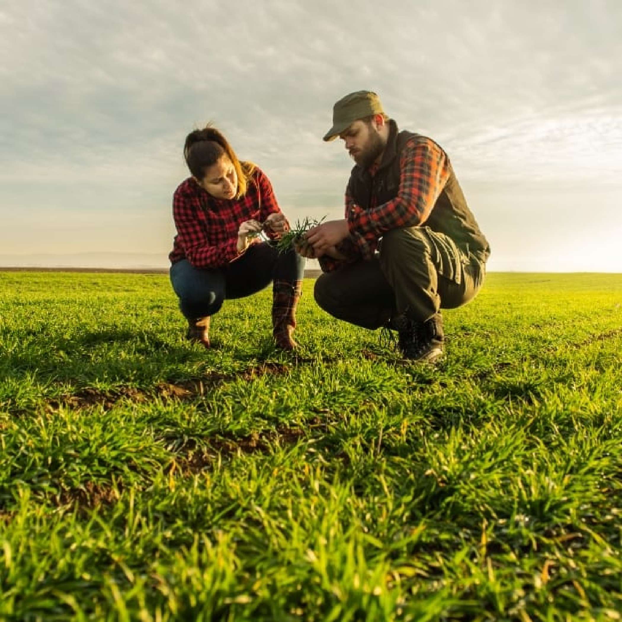 h2_ecodots_teaser_07.jpg Zwei Personen auf dem Feld hockend