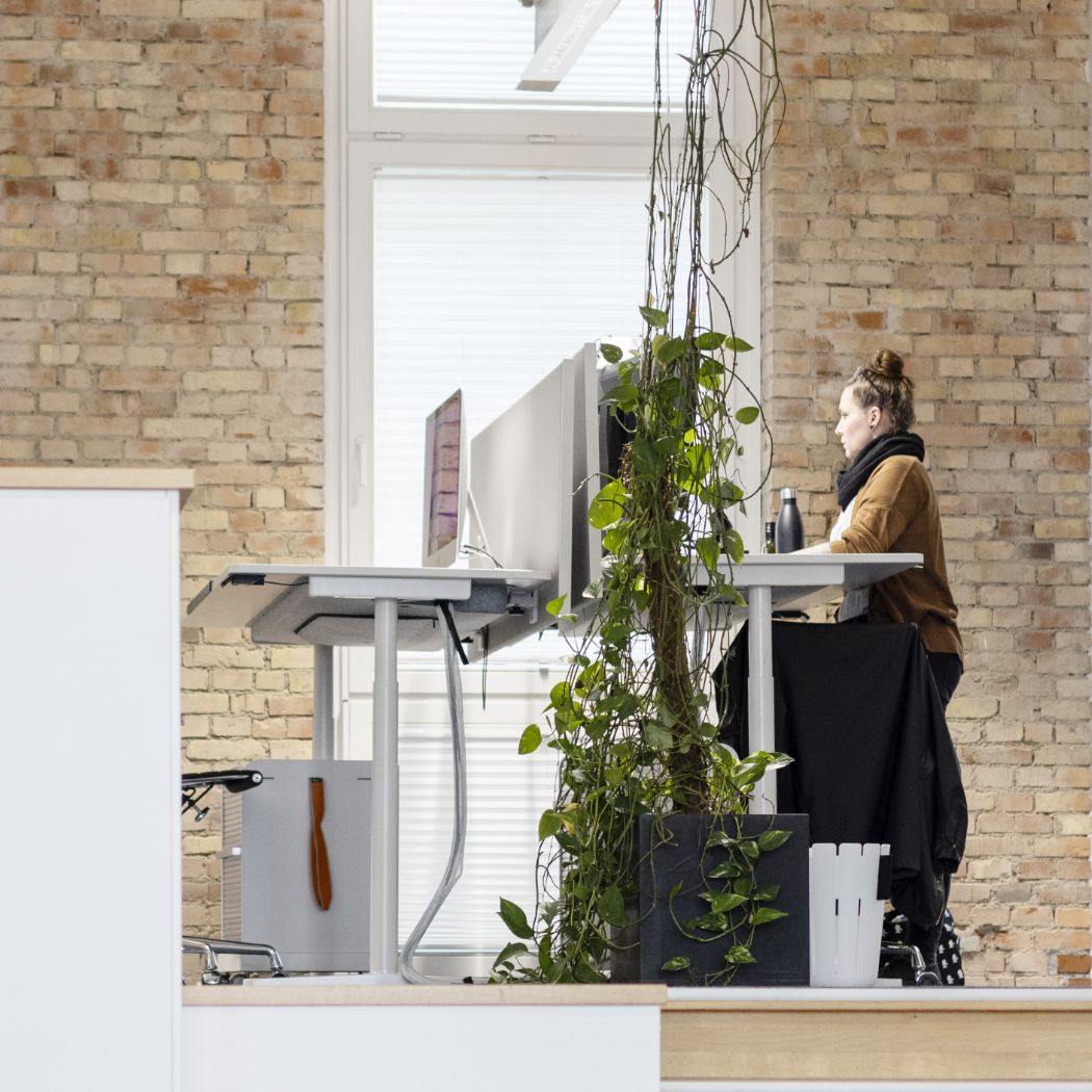 Pflanzen und Klinkerwände im HOCHZWEI-Gebäude in Flensburg