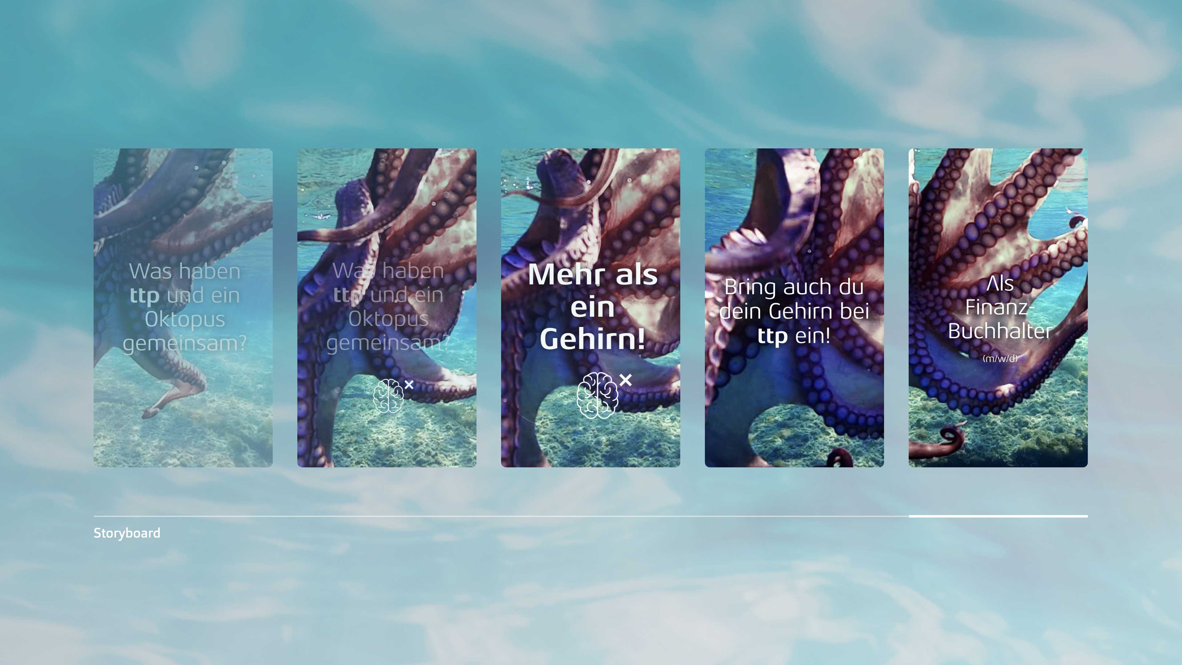 h2_SoMe_Videos_Slider_03.jpg Fünf Szenen eines ttp Videos mit einem Oktopus