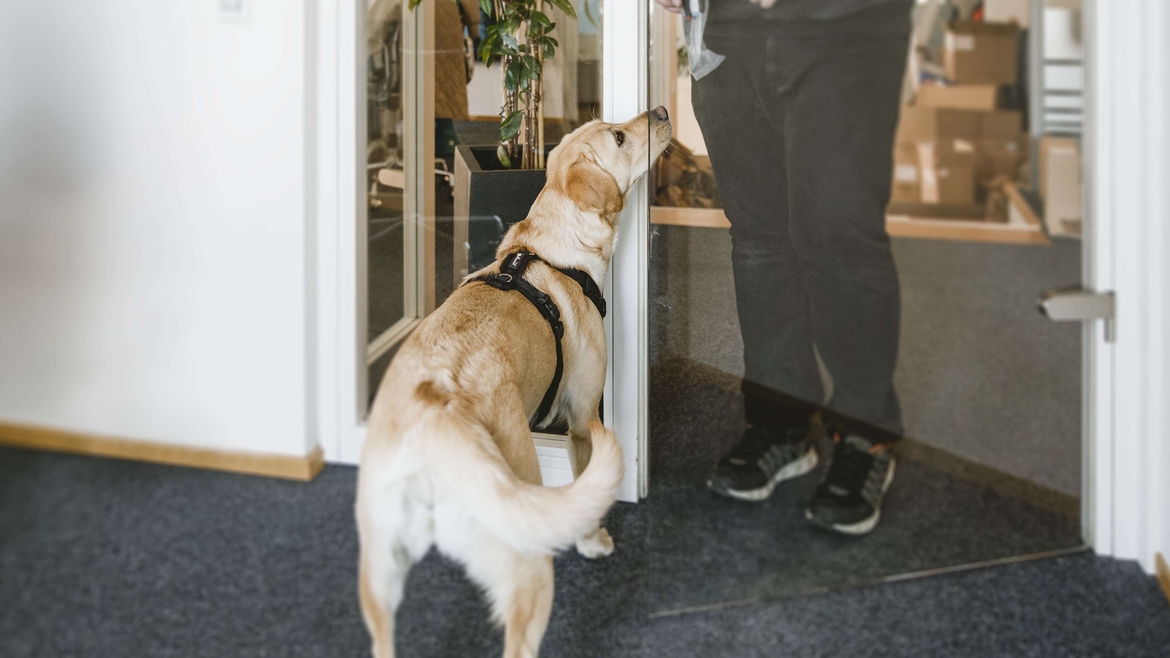 Ebbie begrüßt jemanden an der Tür