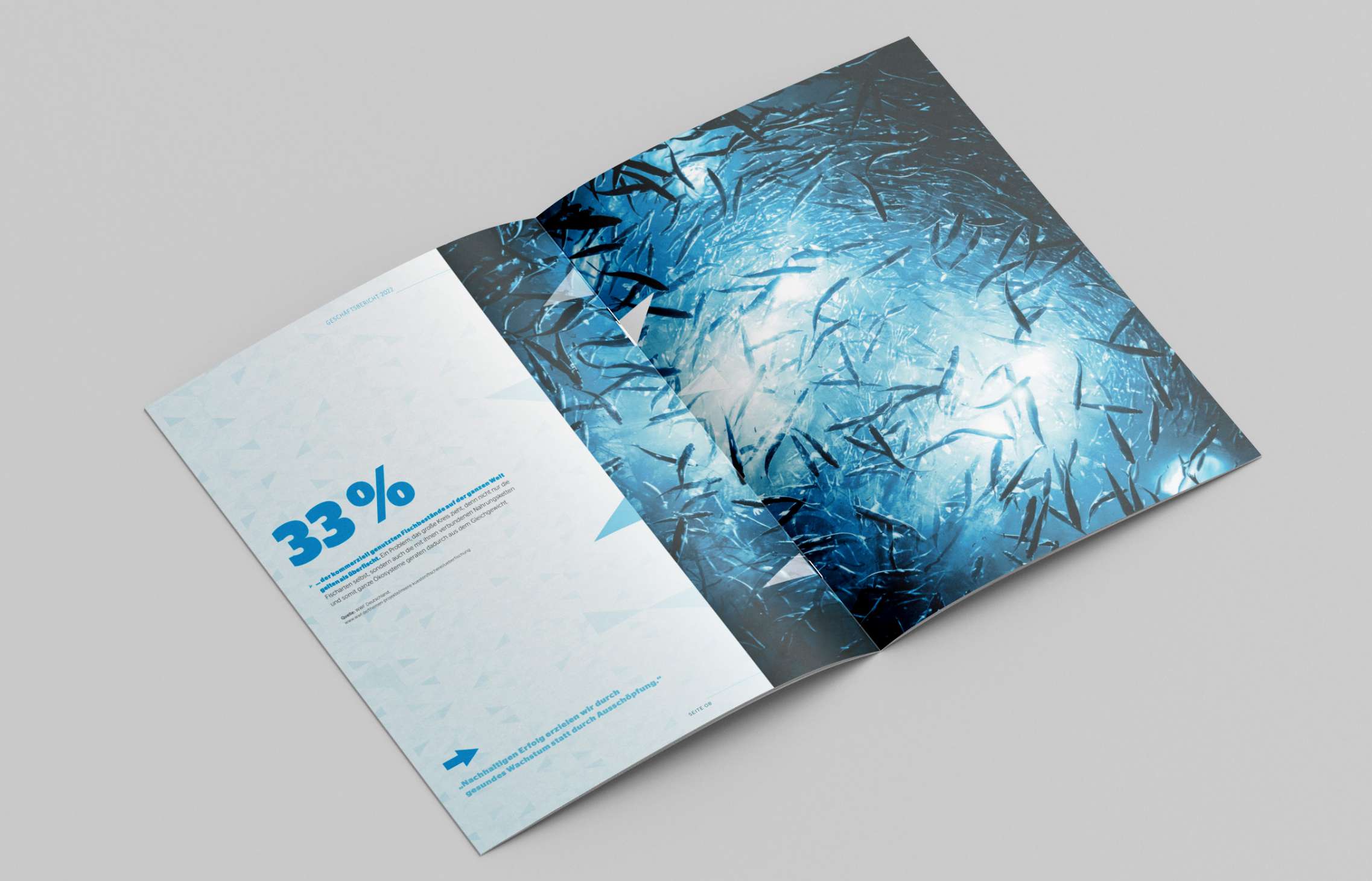 Geschäftsbericht 2022. Aufgeschlagen ist eine Seite über Nachhaltigkeit und Fischbestände.