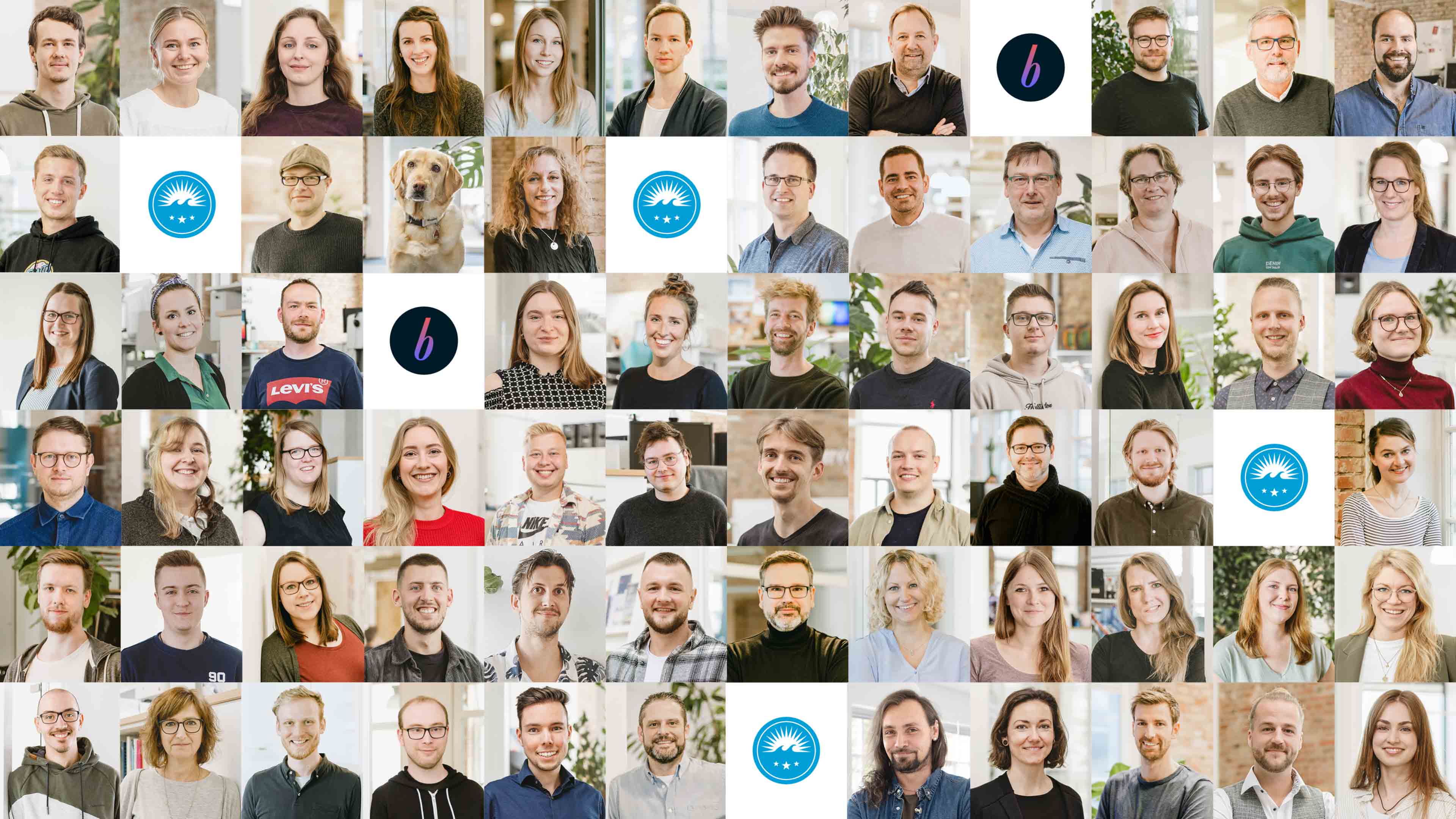 Collage mit Porträts aller Hochzwei Angestellten