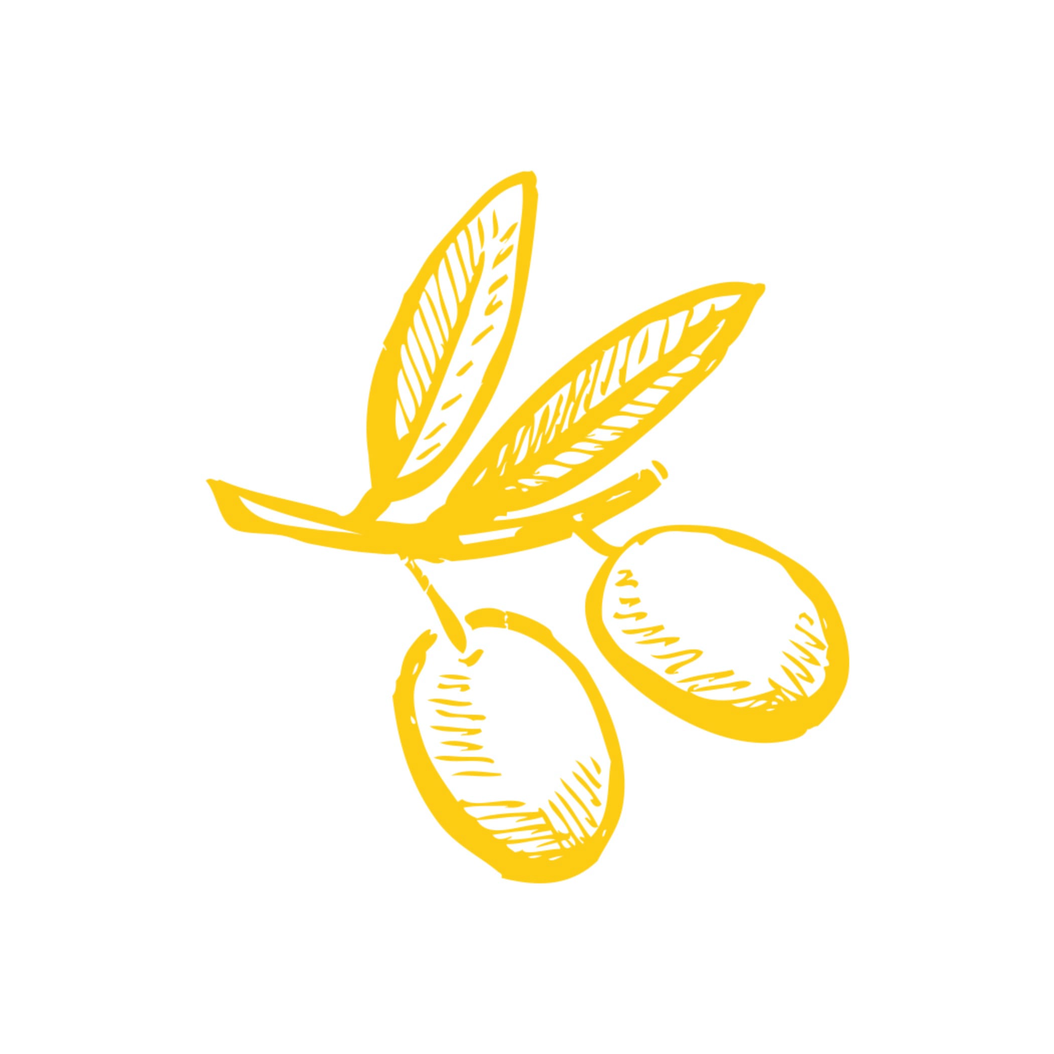 hochzwei_ella_teaser_02.jpg Gelbe Illustration eines kurzen Olivenzweigs mit zwei Oliven