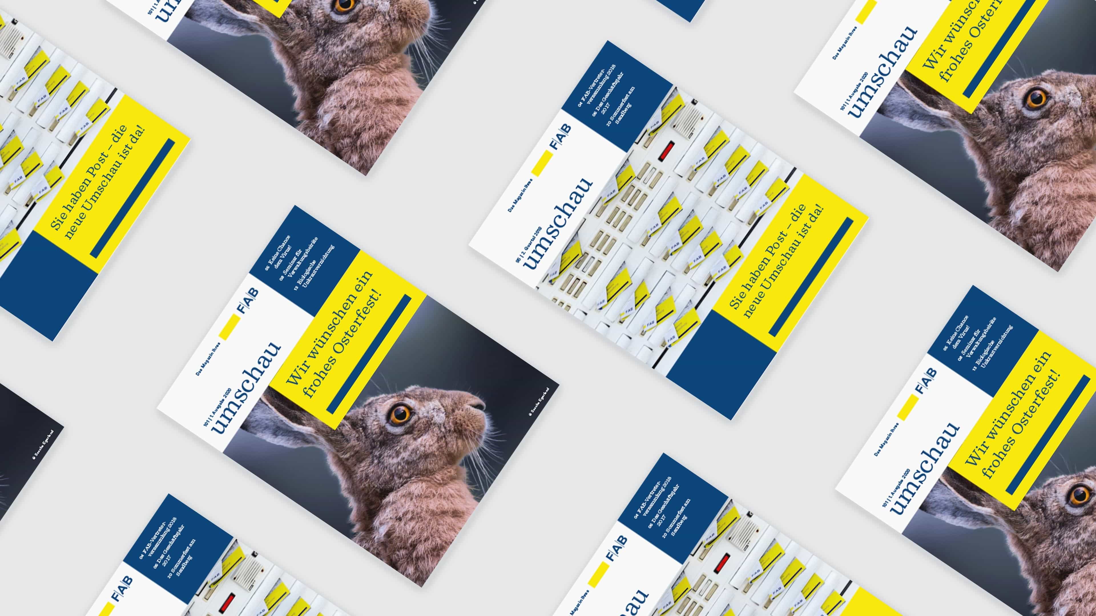 Collage mit Titelseiten des FAB-Magazins