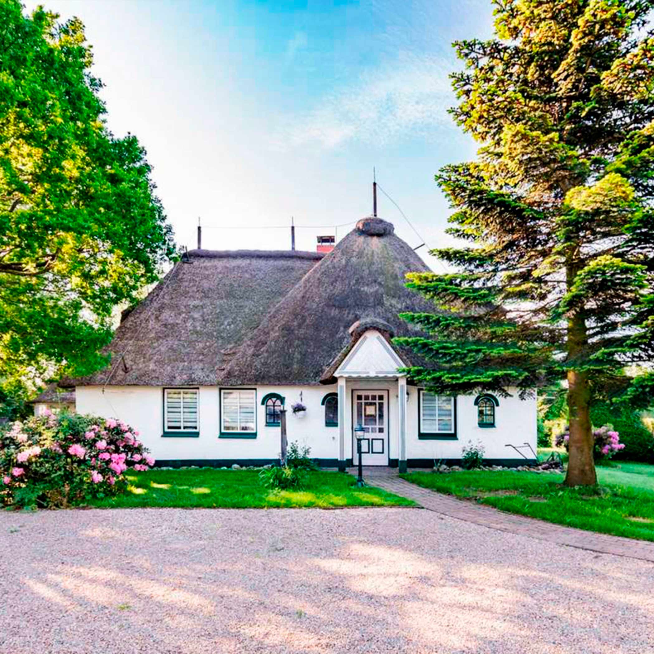 Weißes Reetdachhaus zwischen Bäumen