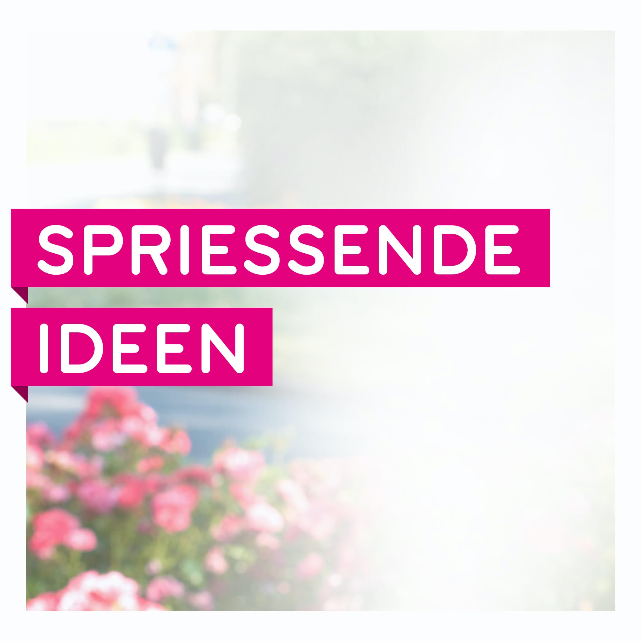 hochzwei_ffrm_teaser_01.jpg Text 'Spriessende Ideen' vor Blumen