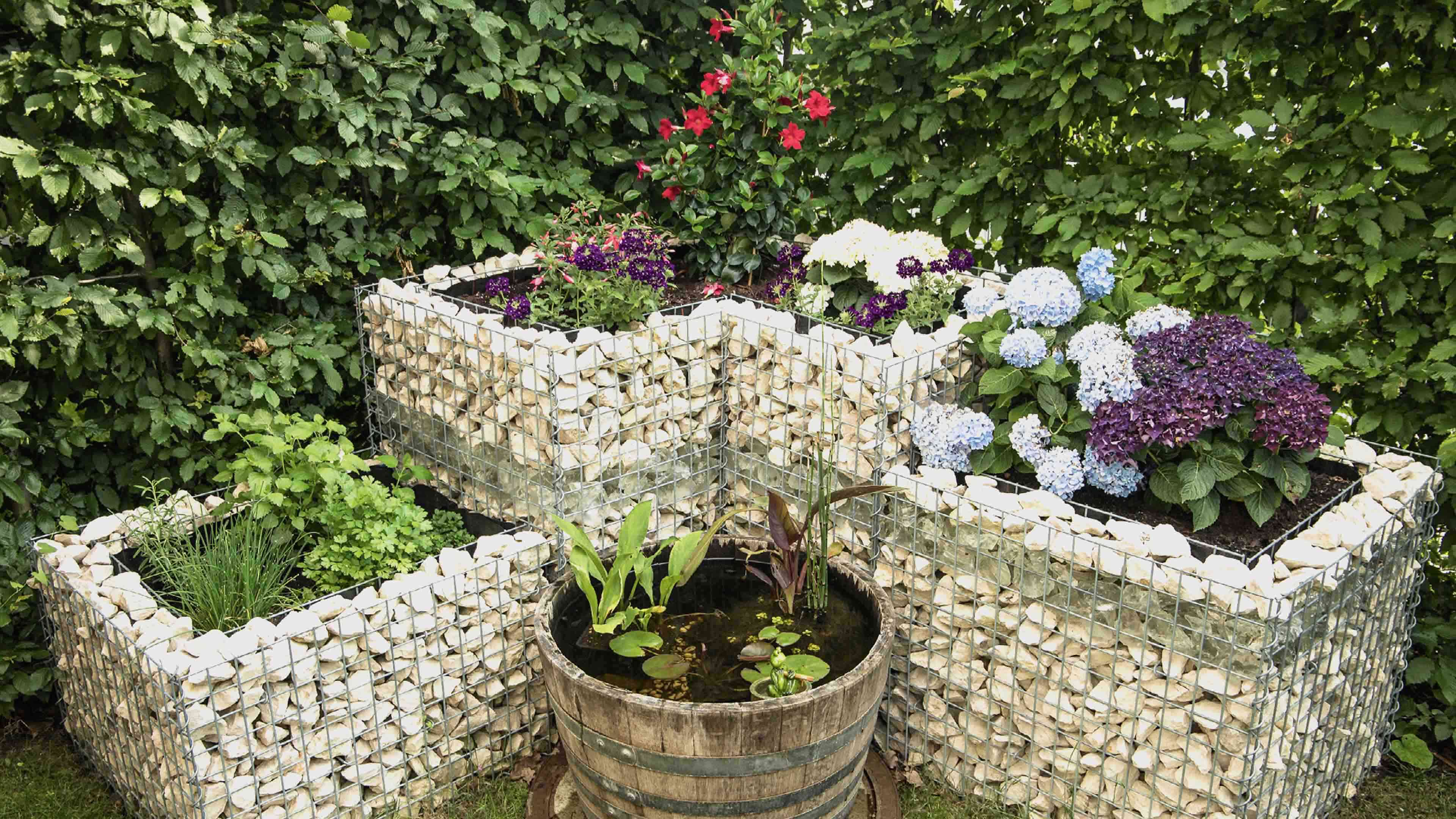 Eine weiße Steinhecke