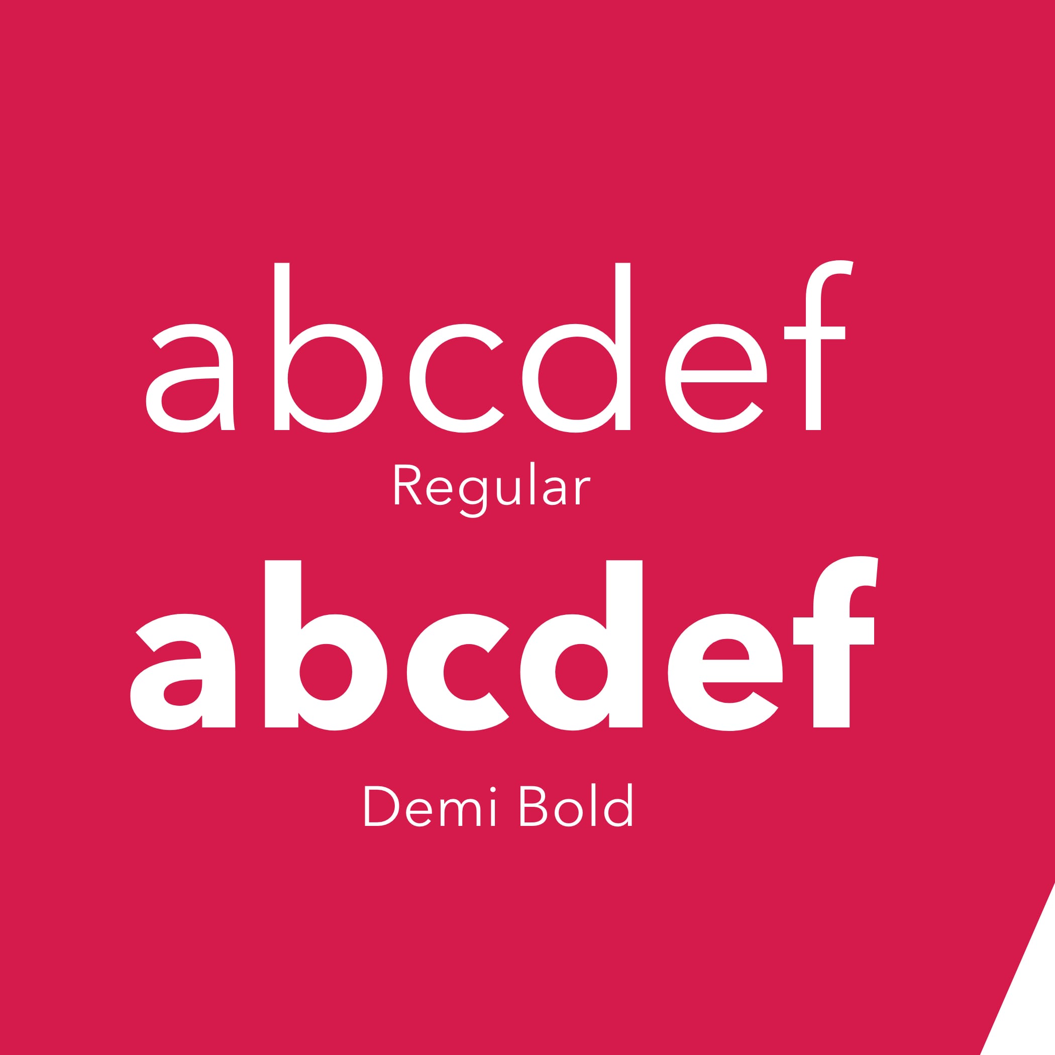 Zwei Schriftarten auf pinken Hintergrund